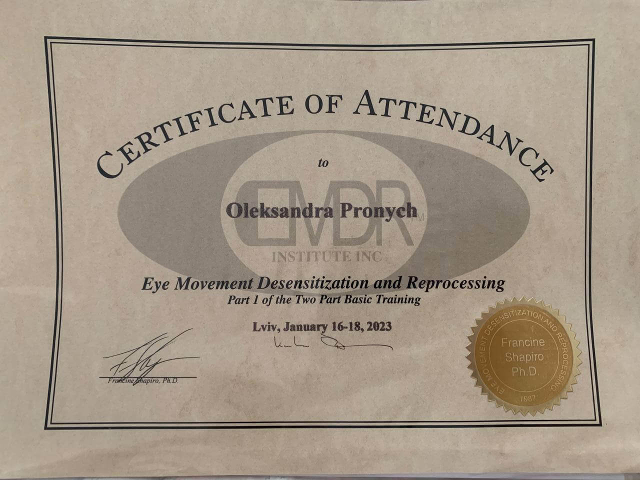 Сертифікат 5 Олександра Пр...