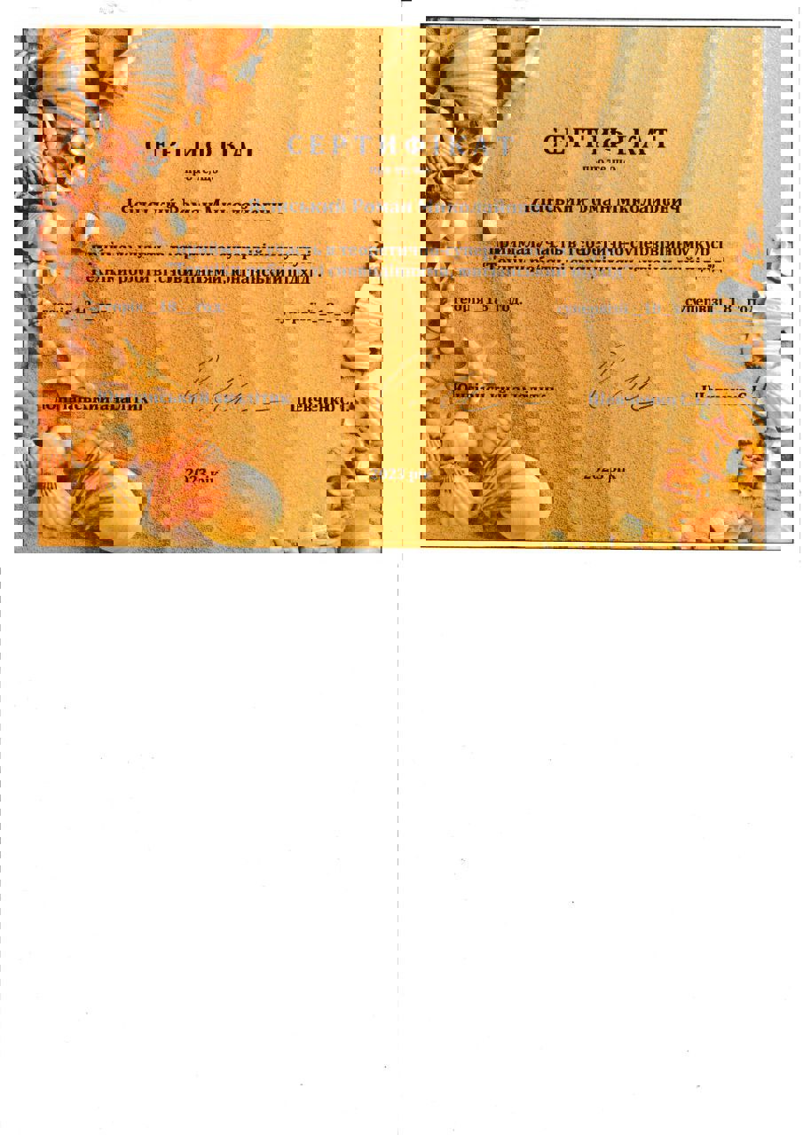 Сертификат 4 Роман  Яс...