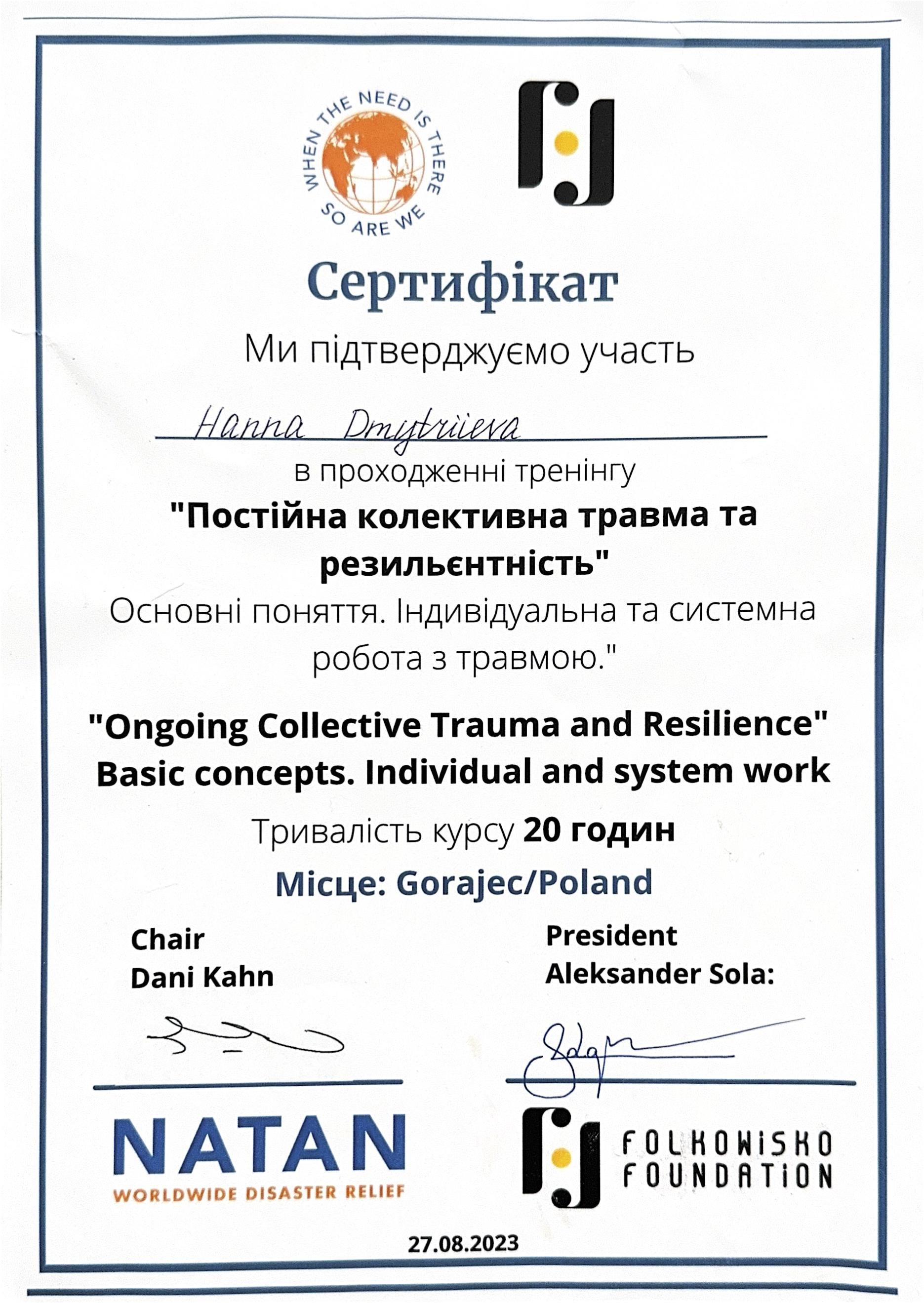 Сертификат 3 Анна  То...