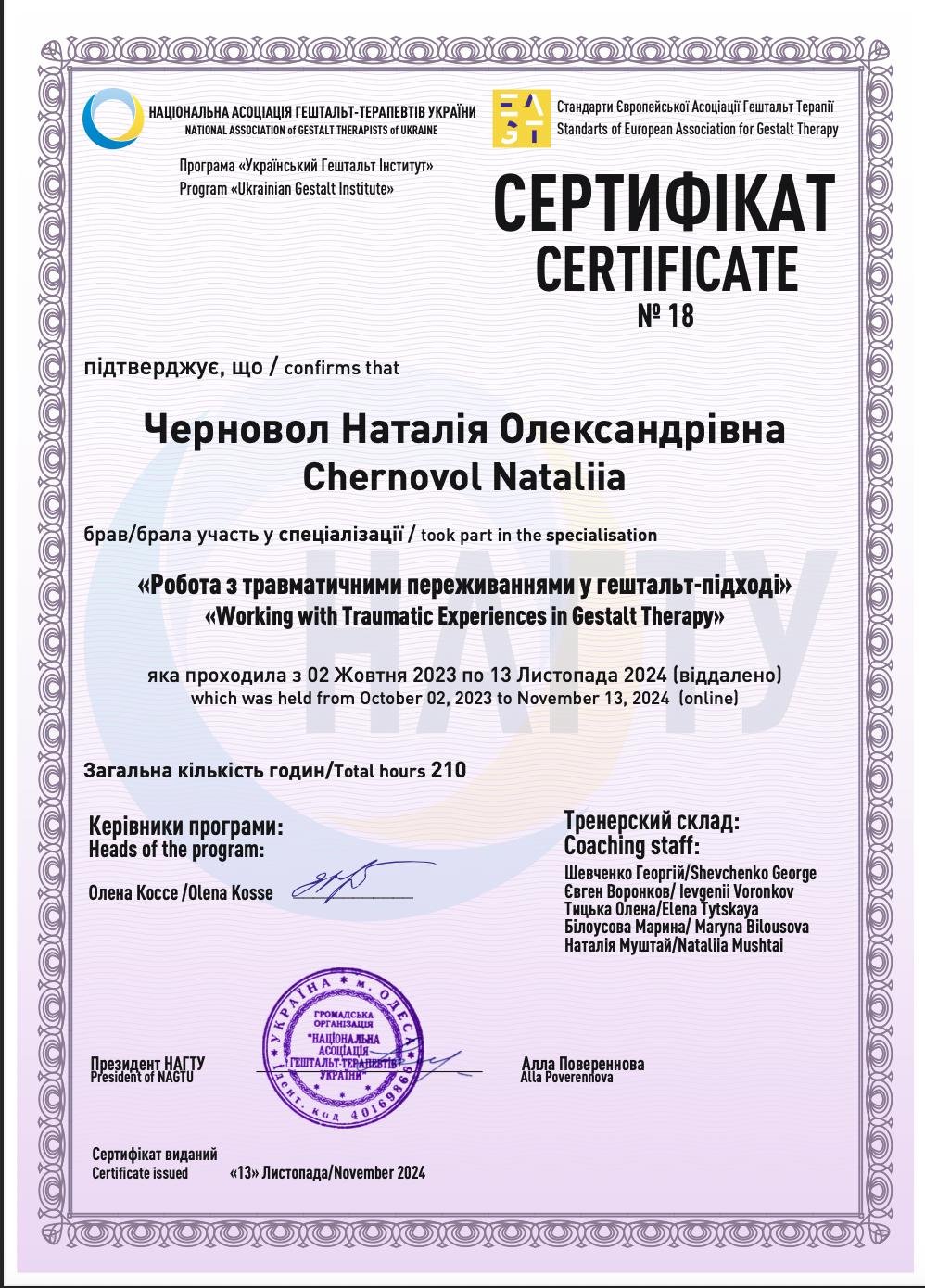 Сертификат 3 Наталья  Че...