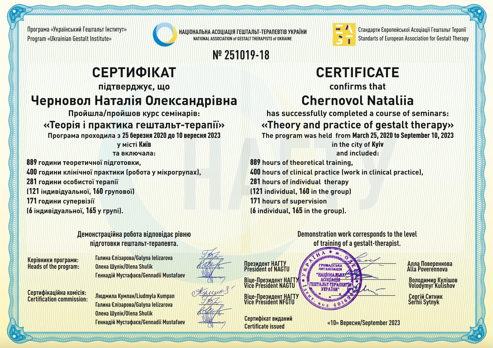 Сертификат 2 Наталья  Че...