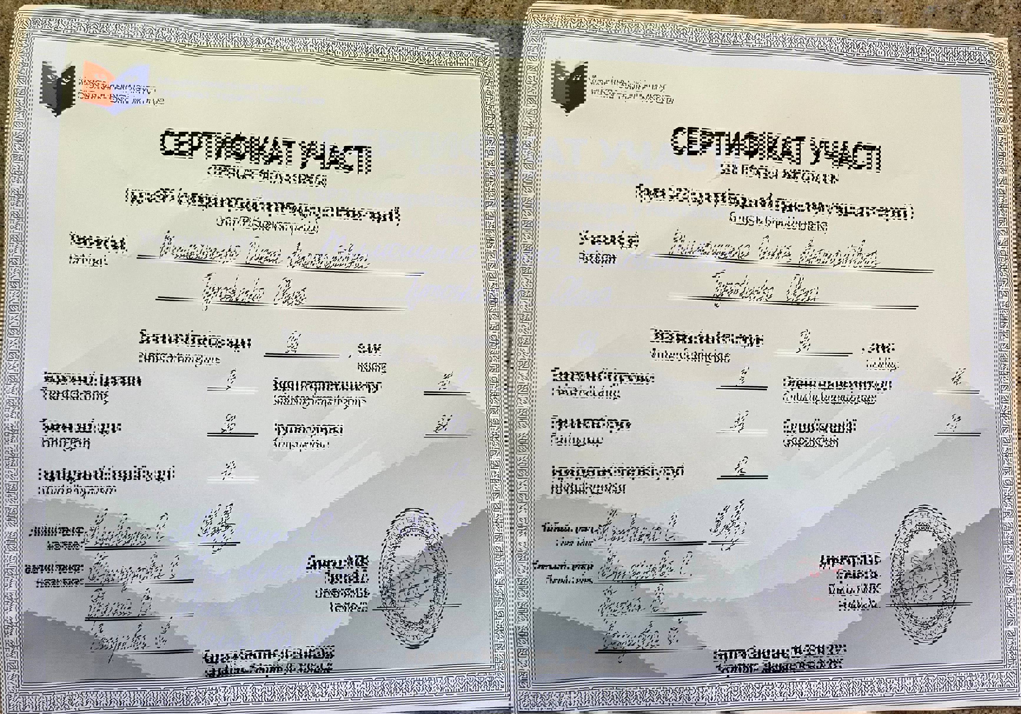 Сертифікат 5 Олена Ти...