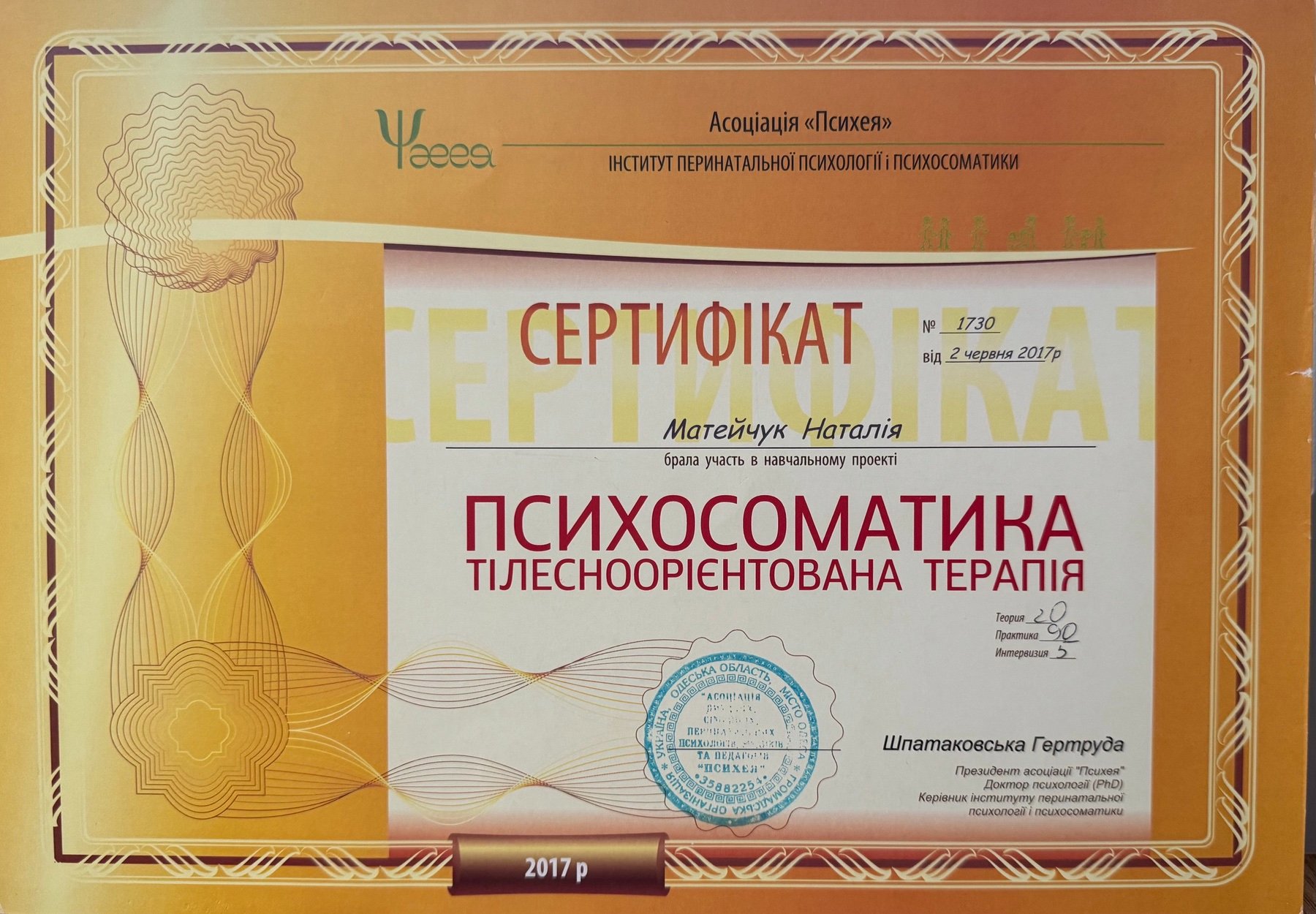 Асоціація «Психея», Інститут перинатальної психології і психосоматики, Психосоматика тілесноорієнтована терапія