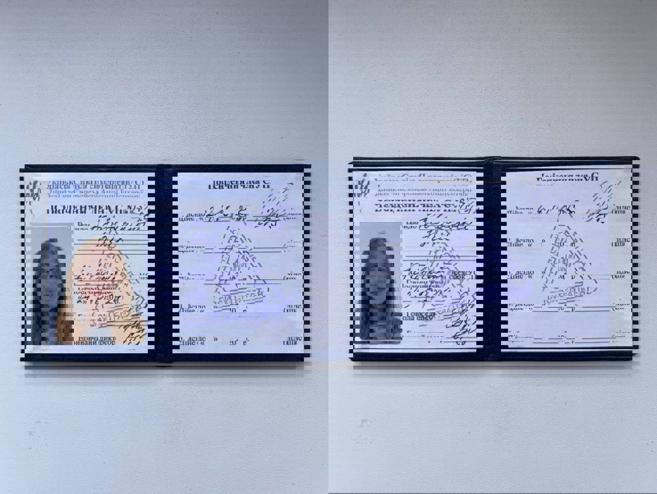 Сертифікат 5 Юлія  Ко...