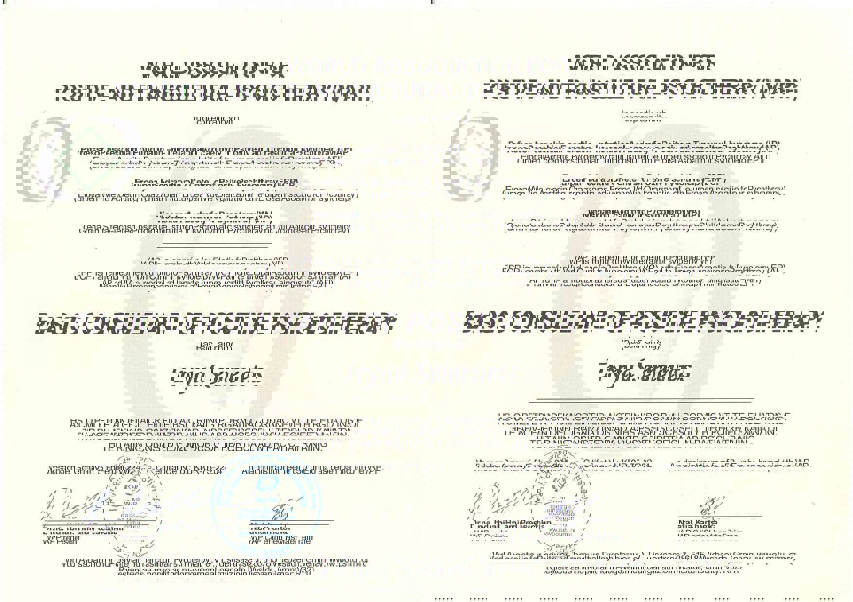 Сертифікат 1 Ірина Се...