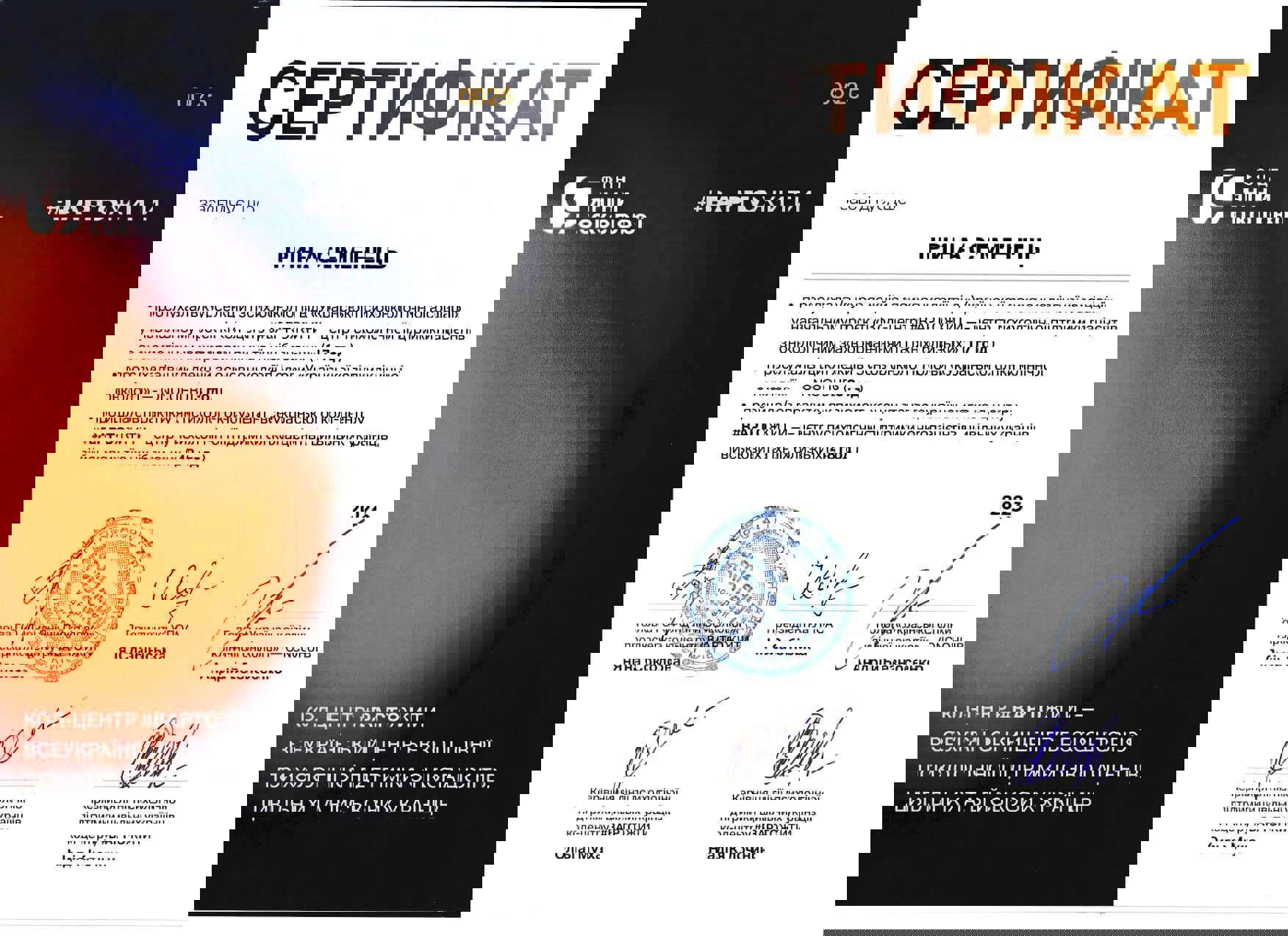 Сертифікат 3 Ірина Се...