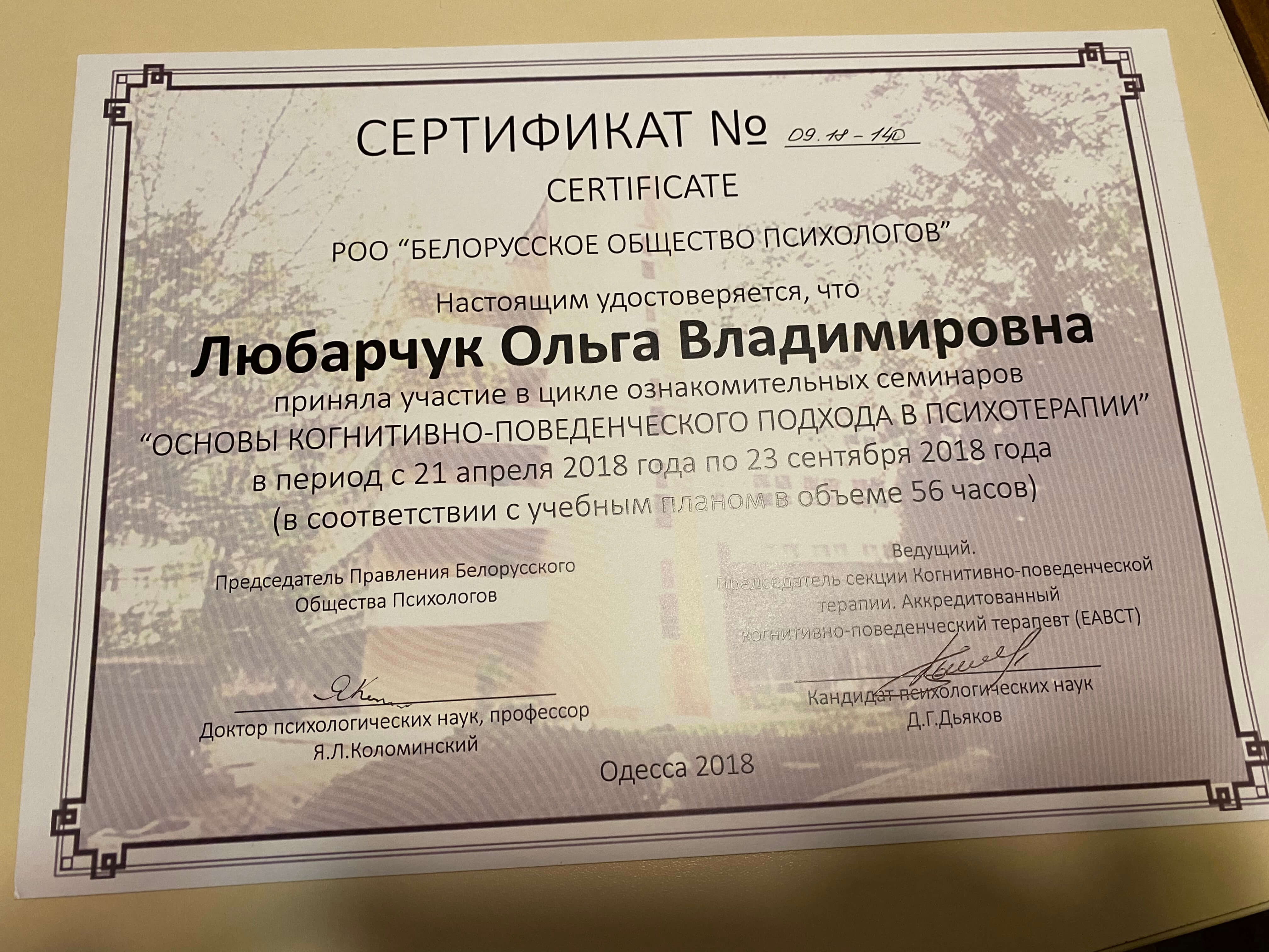 Сертификат 2 Ольга  Лю...