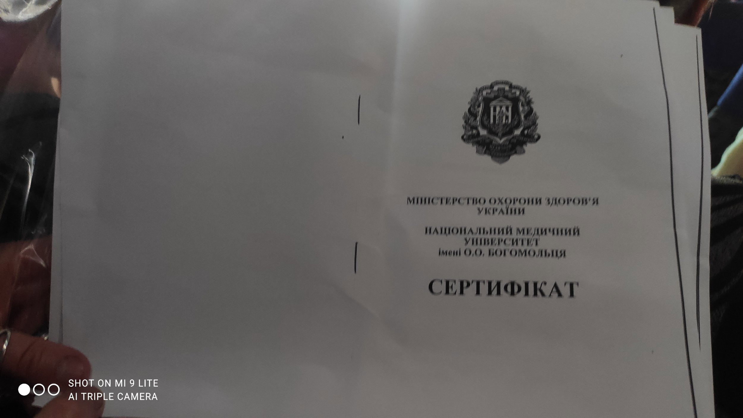 Національний медичний університет імені О.О. Богомольця