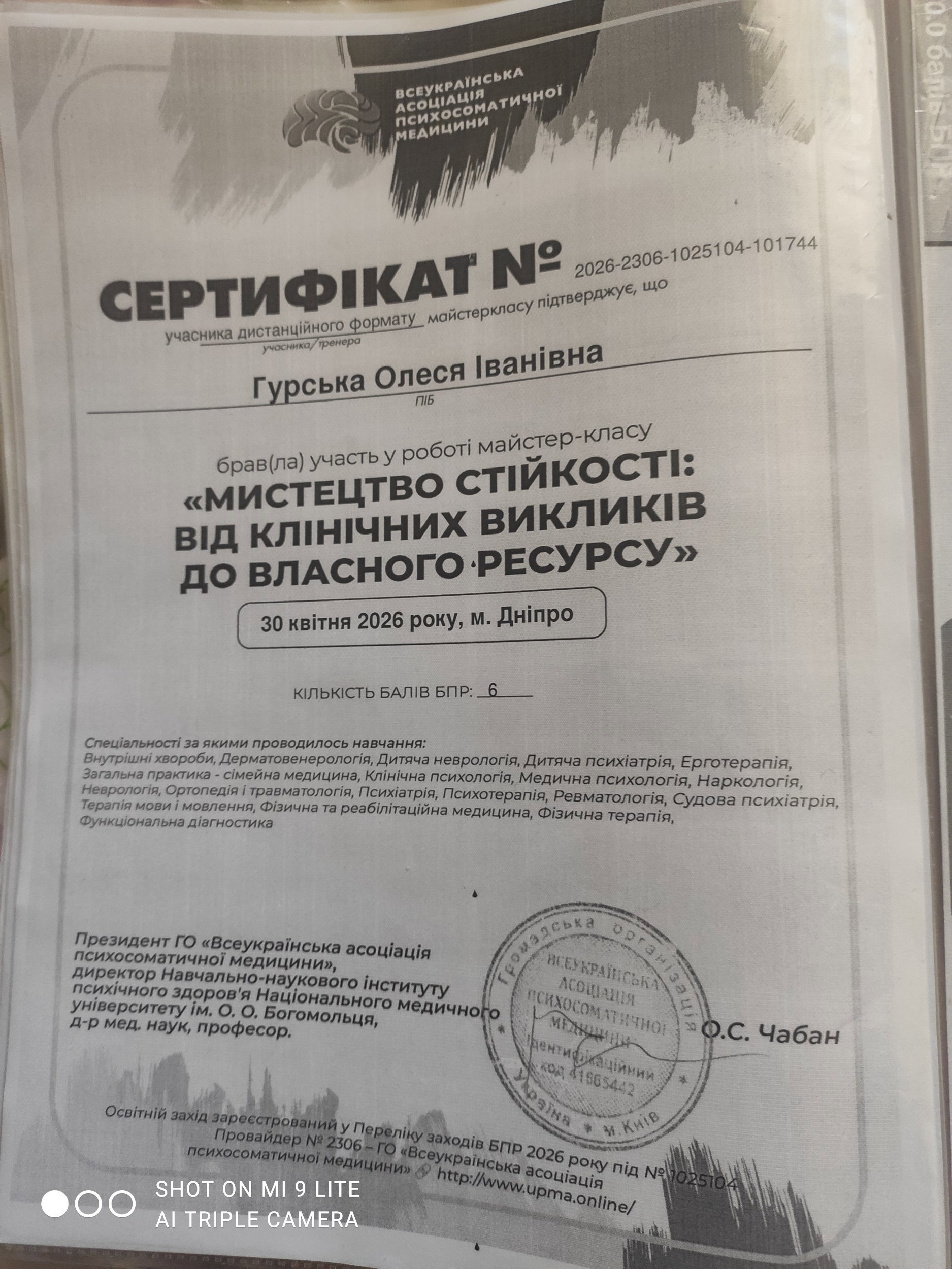 Всеукраїнська асоціація психосоматичної медицини, Мистецтво стійкості: від клінічних викликів до власного ресурсу