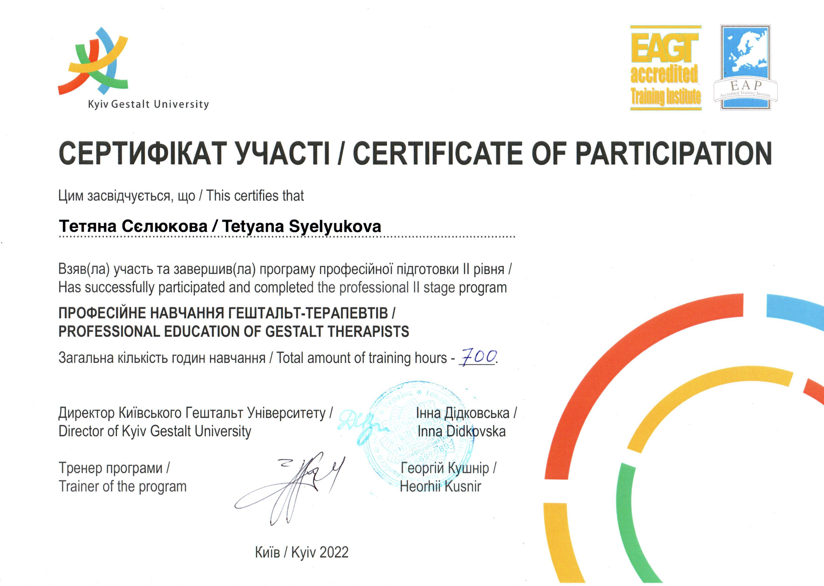 Сертификат 2 Татьяна Се...