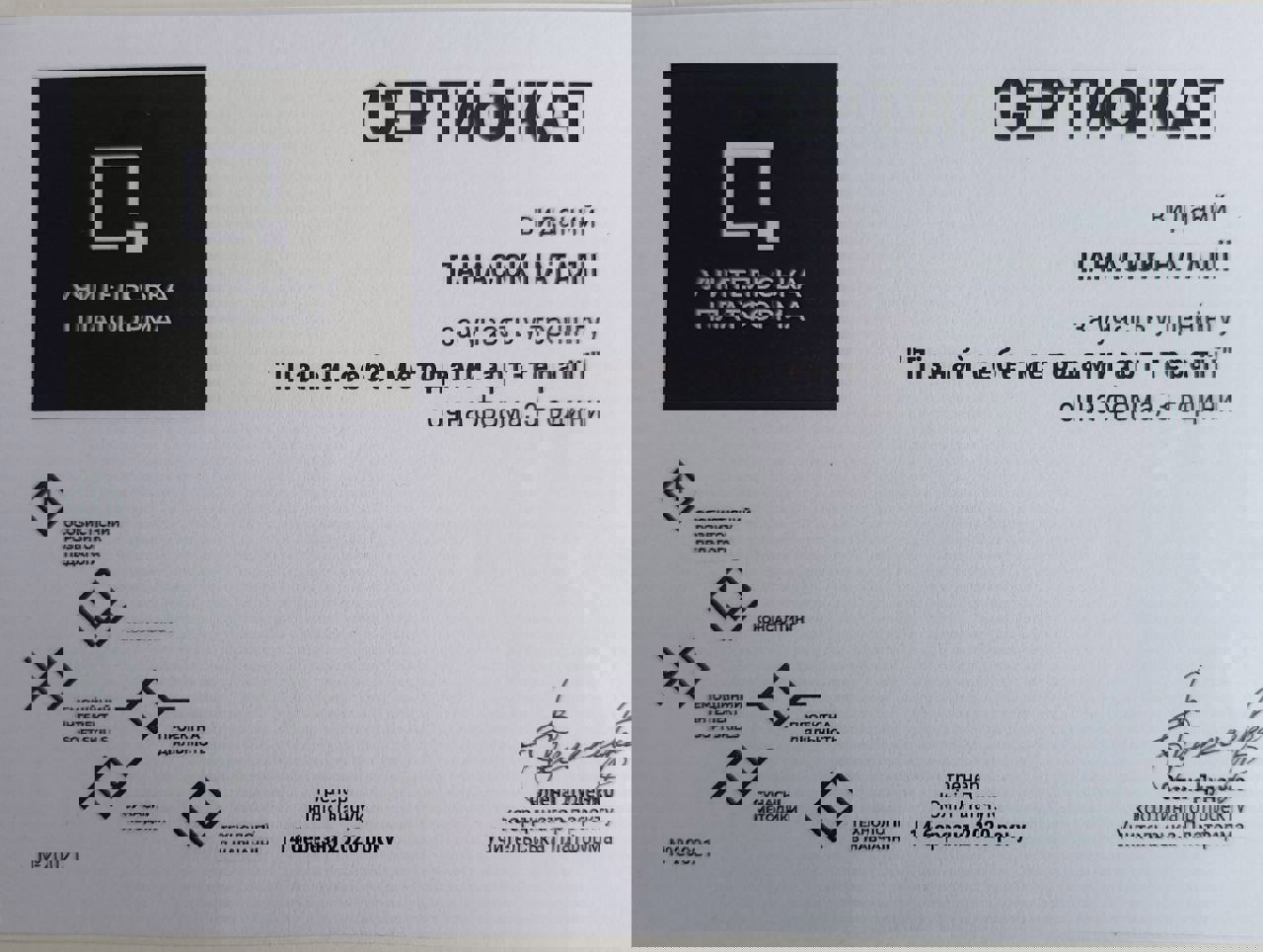 Сертифікат 5 Наталія  Па...