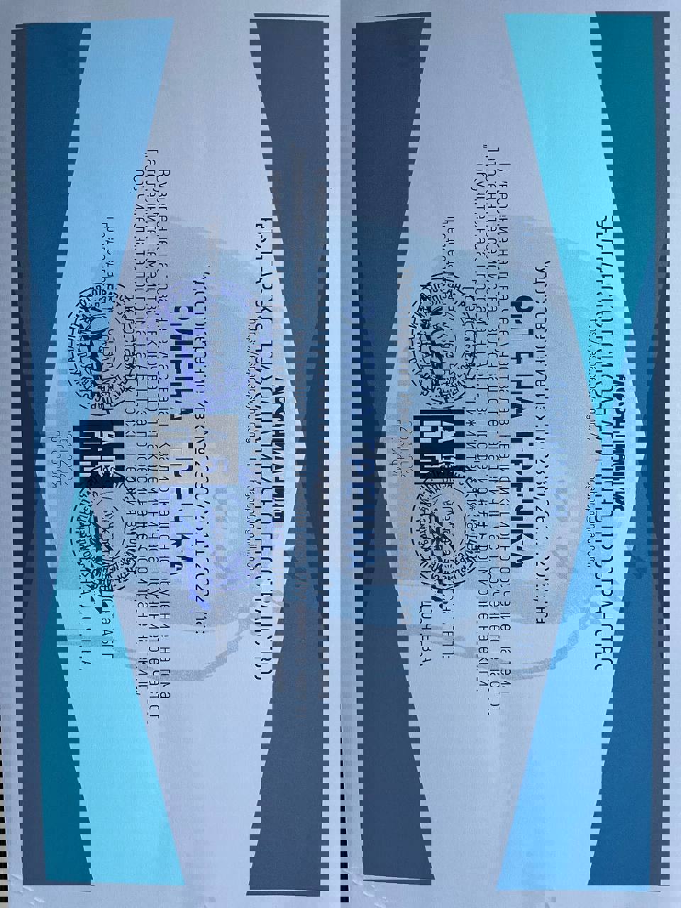 Сертифікат 4 Олена  Гр...