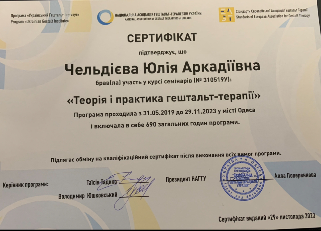 Сертификат 2 Юлия Че...