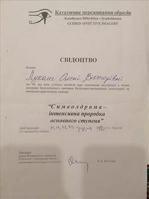 Сертифікат 5 Олена Лу...