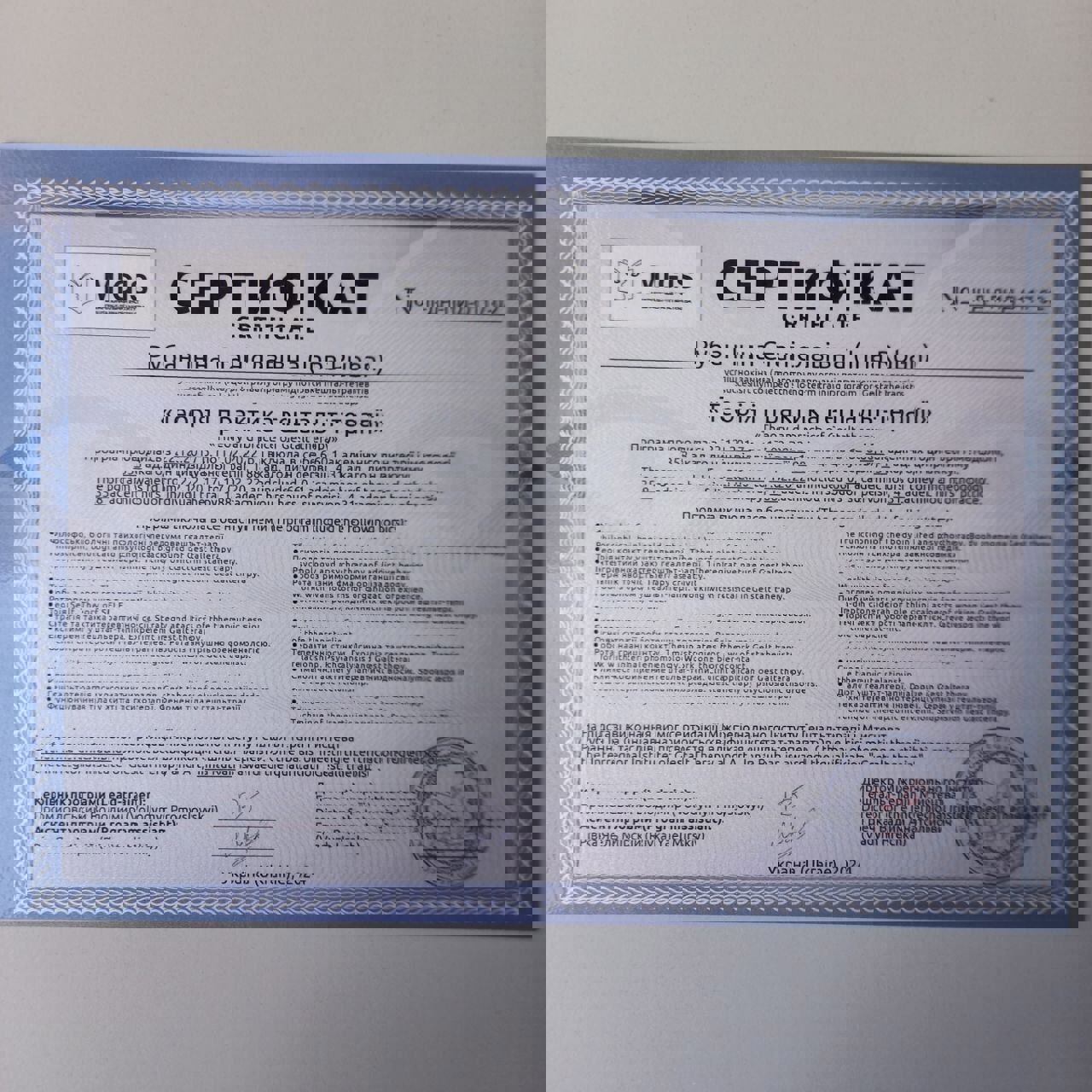 Сертификат 1 Инна Ру...