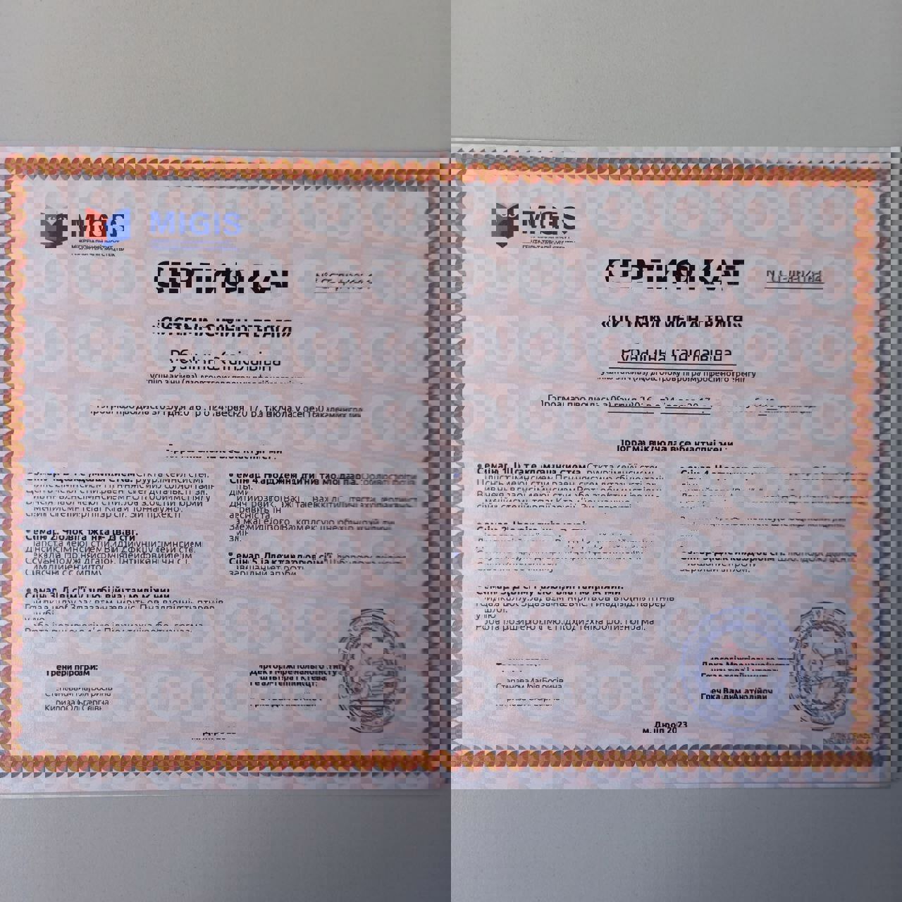 Сертификат 2 Инна Ру...