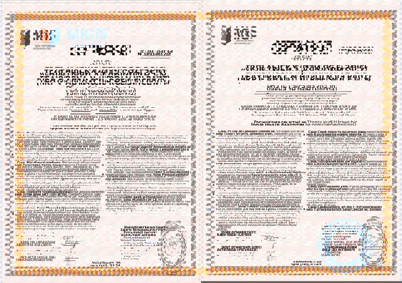 Сертификат 3 Инна Ру...