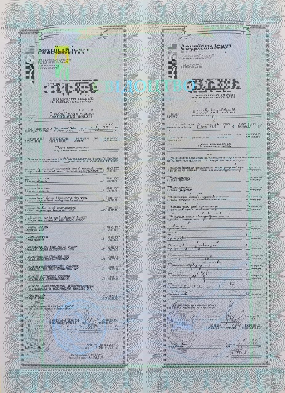 Сертифікат 3 Катерина  Ва...