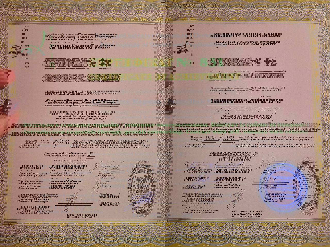 Сертификат 5 Марина  Са...