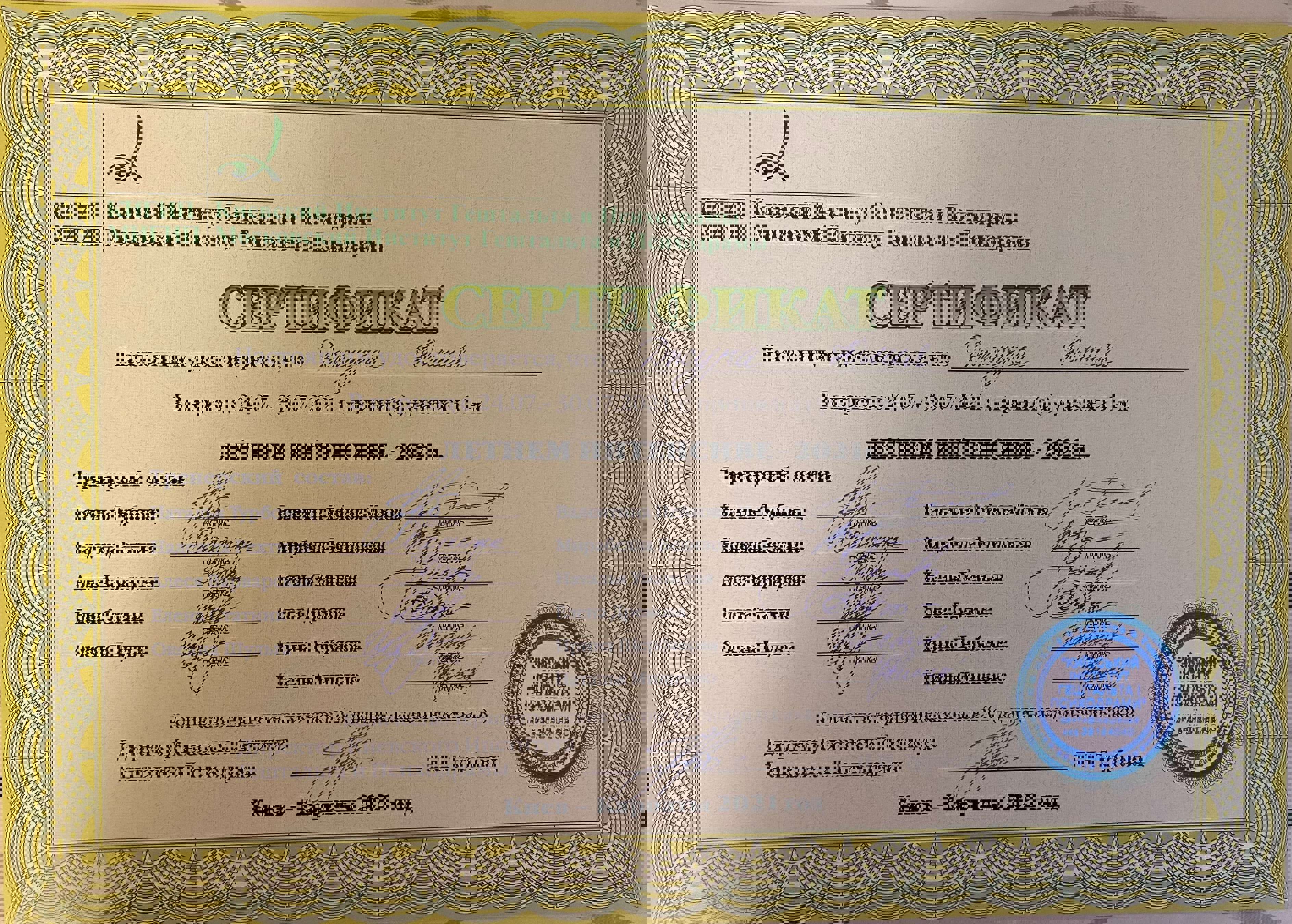 Сертифікат 5 Юлія Дж...