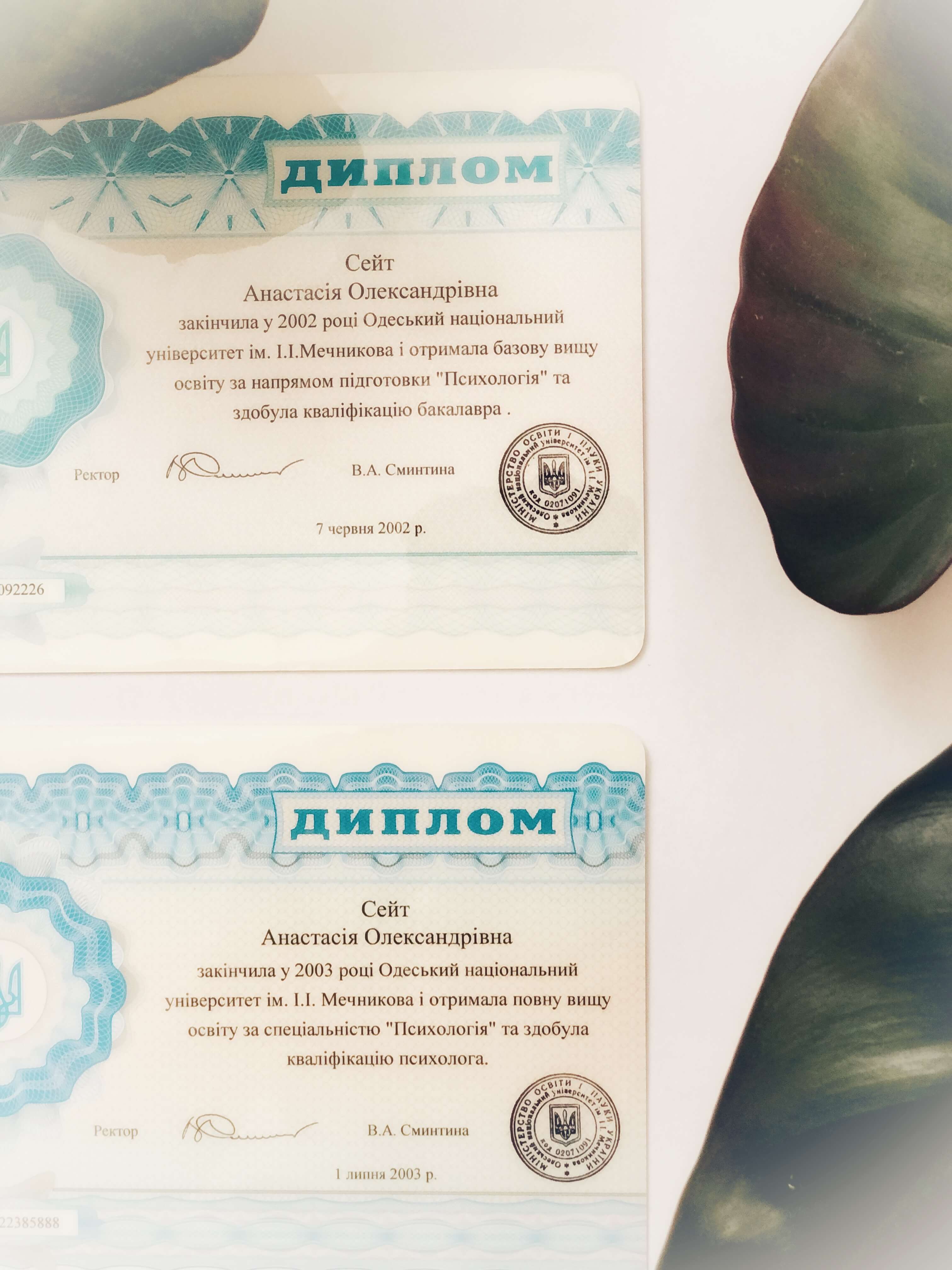 Сертифікат 1 Анастасія Сэ...