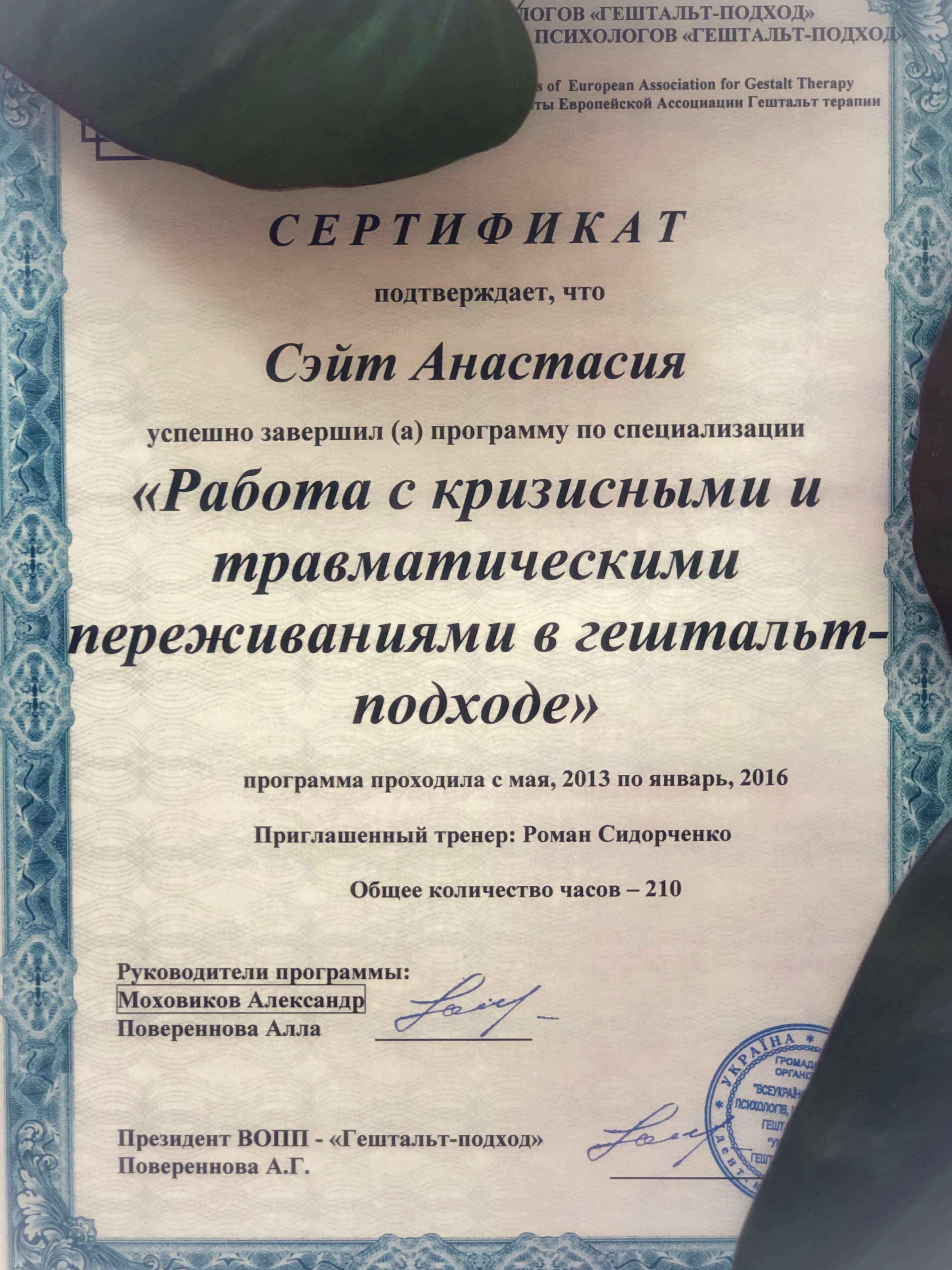 Сертифікат 3 Анастасія Сэ...