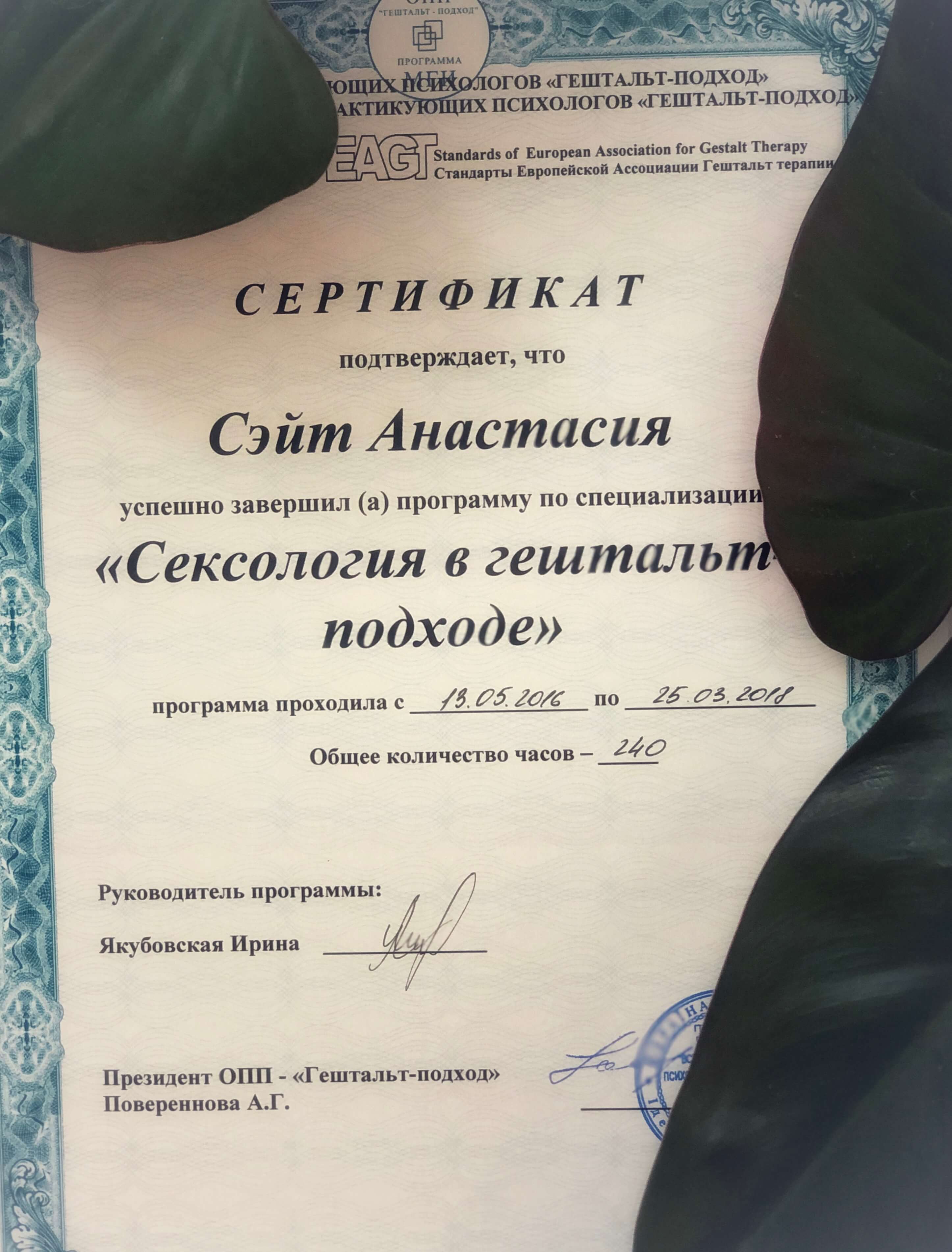 Сертифікат 2 Анастасія Сэ...