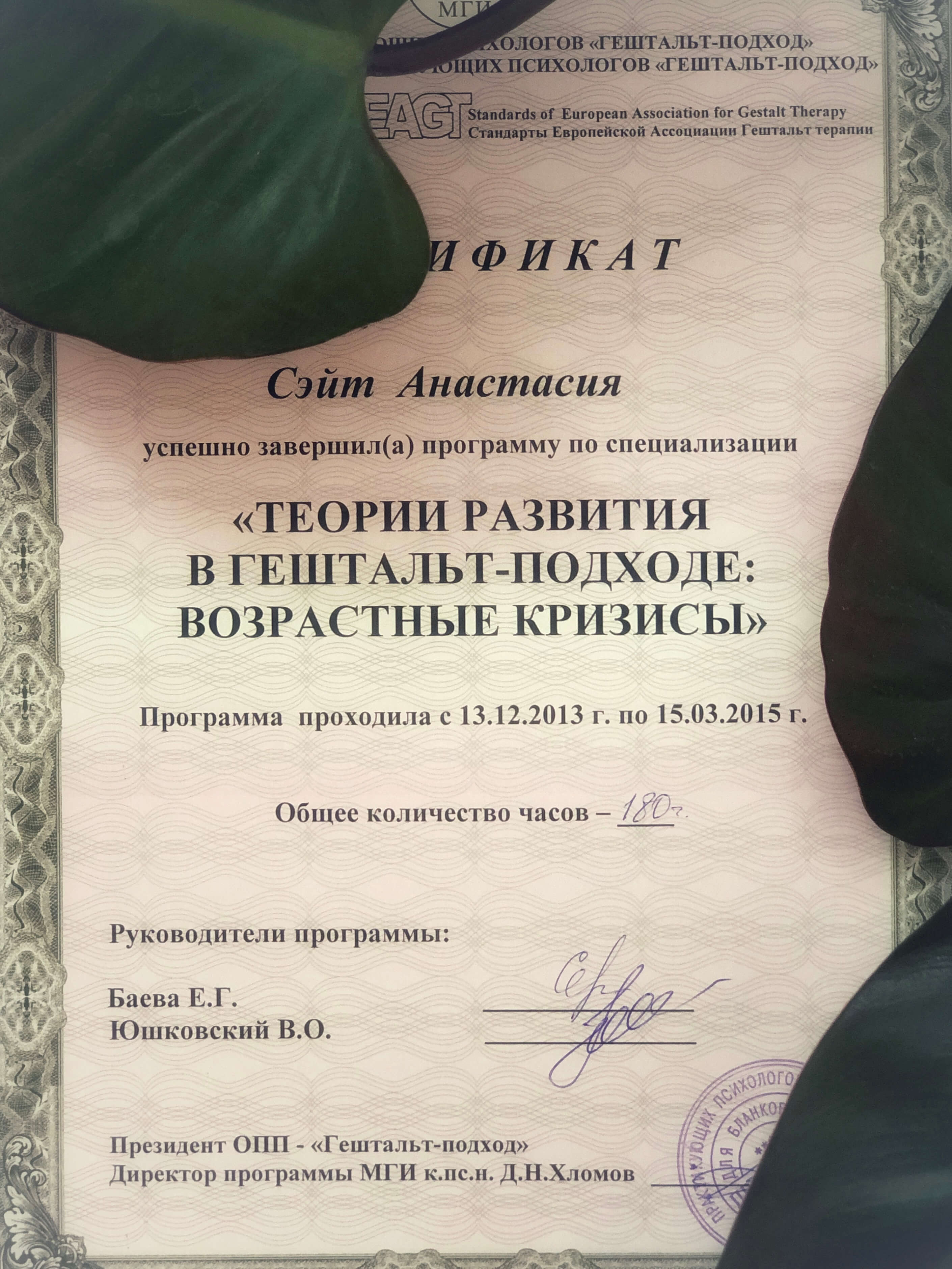 Сертифікат 5 Анастасія Сэ...