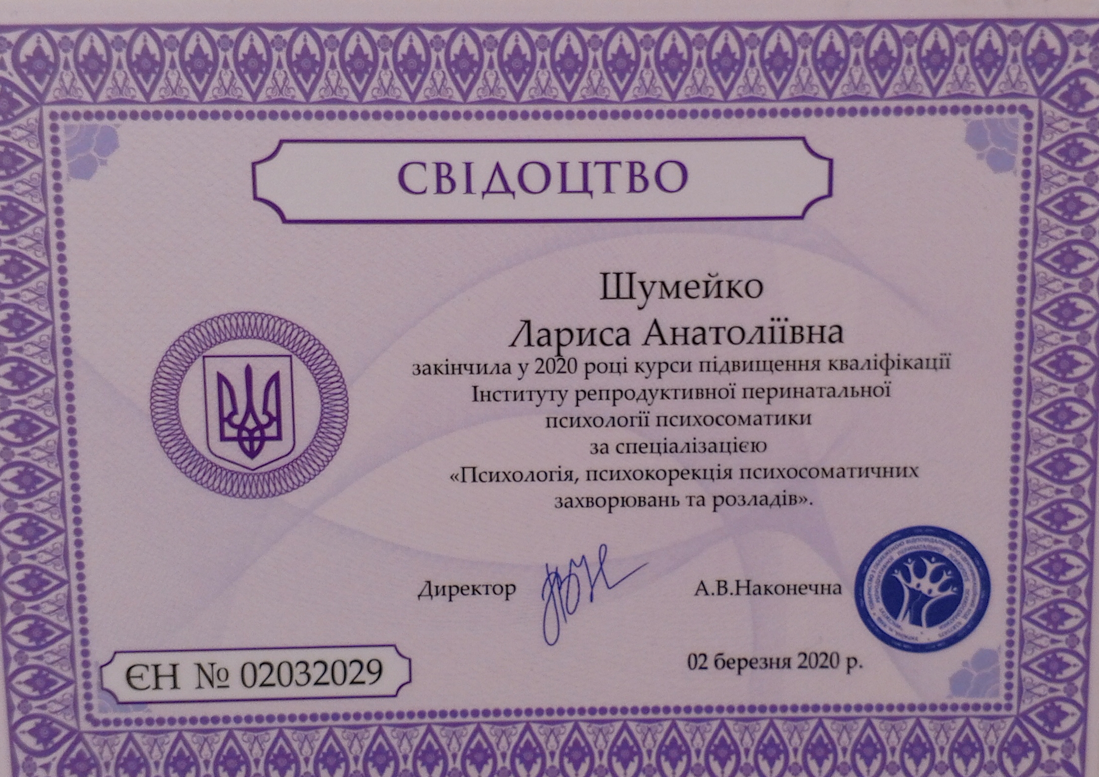 Сертификат 3 Лариса Шу...