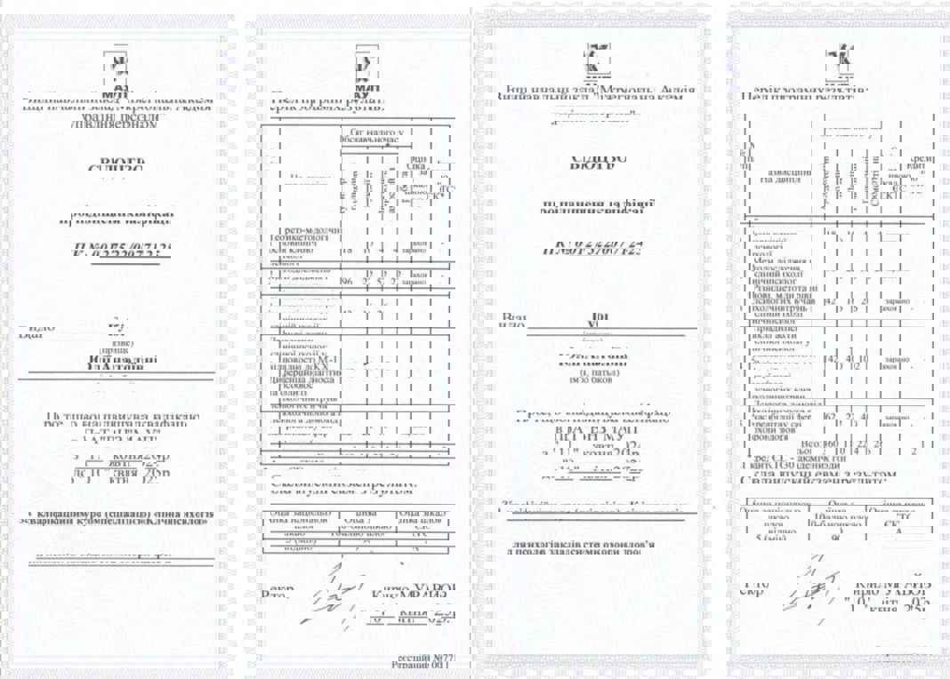 Сертификат 2 Юлия Гу...