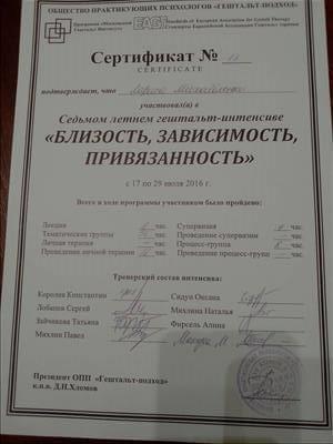 Сертифікат 2 Лариса Ми...