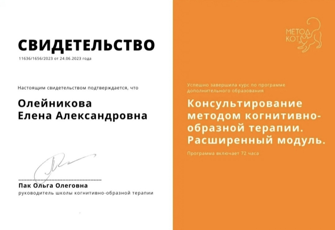 Сертифікат 3 Олена  Ол...