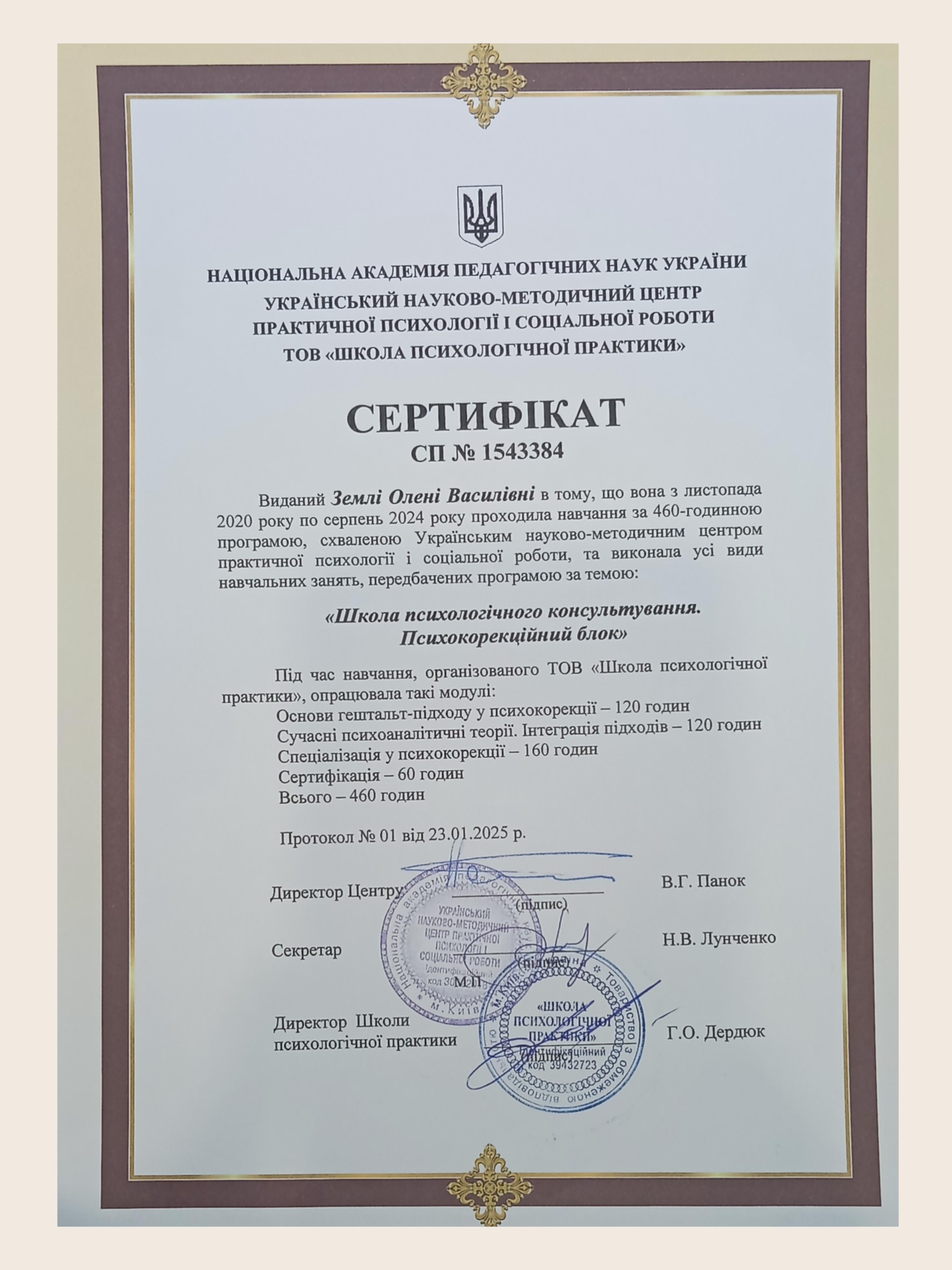 Сертификат 2 Елена Зе...