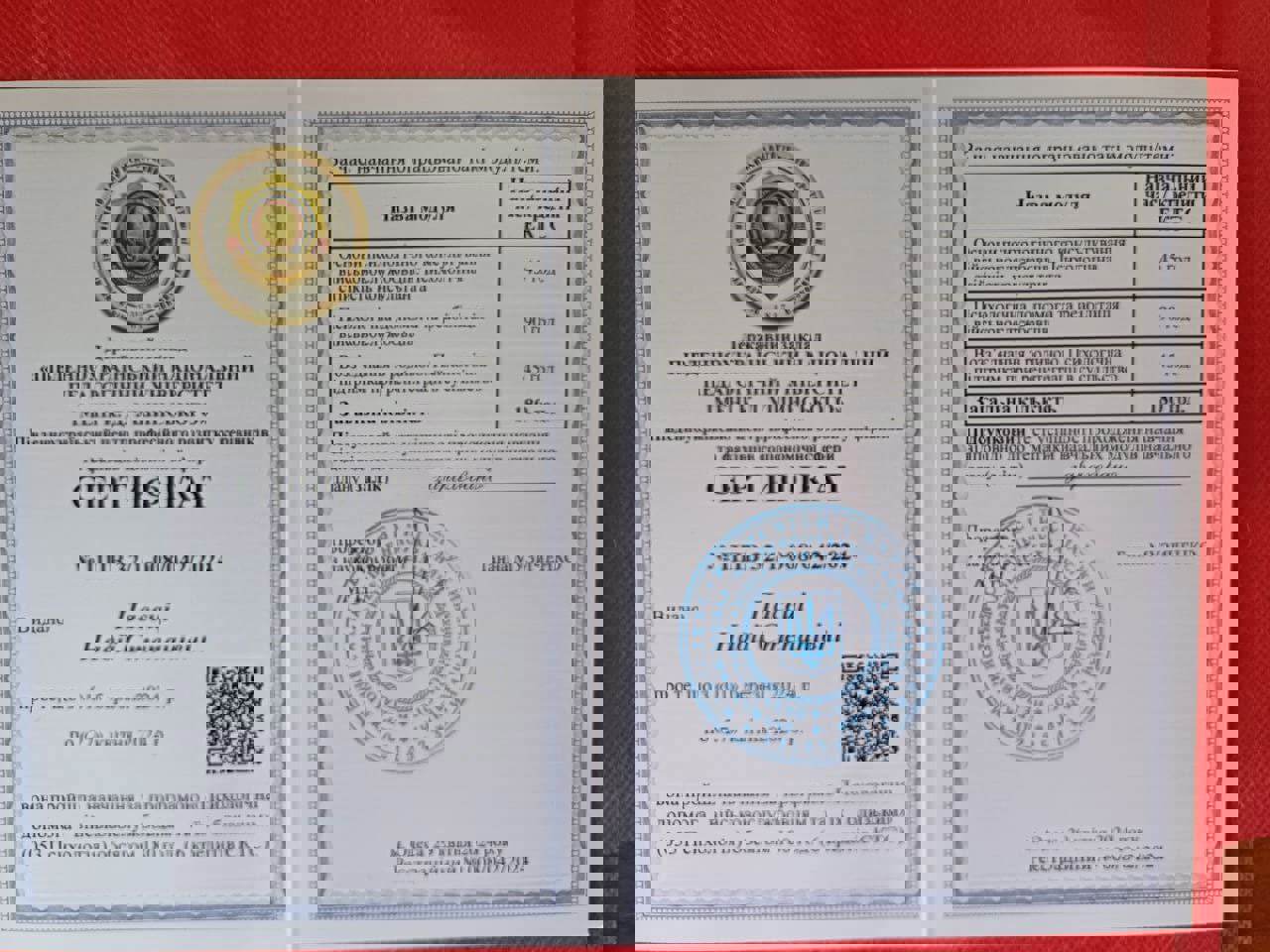 Сертификат 2 Надежда Па...