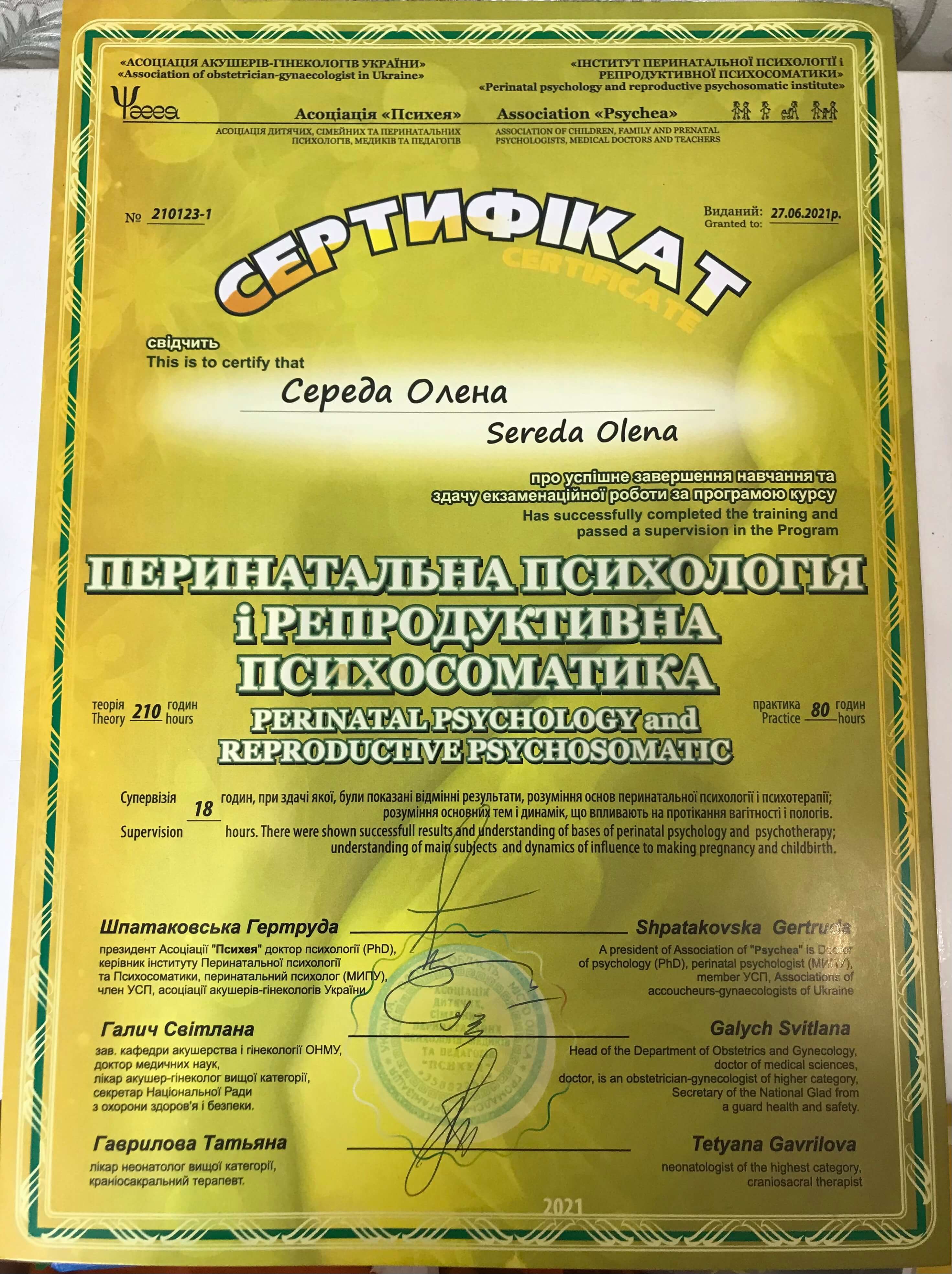 Сертификат 5 Елена Се...