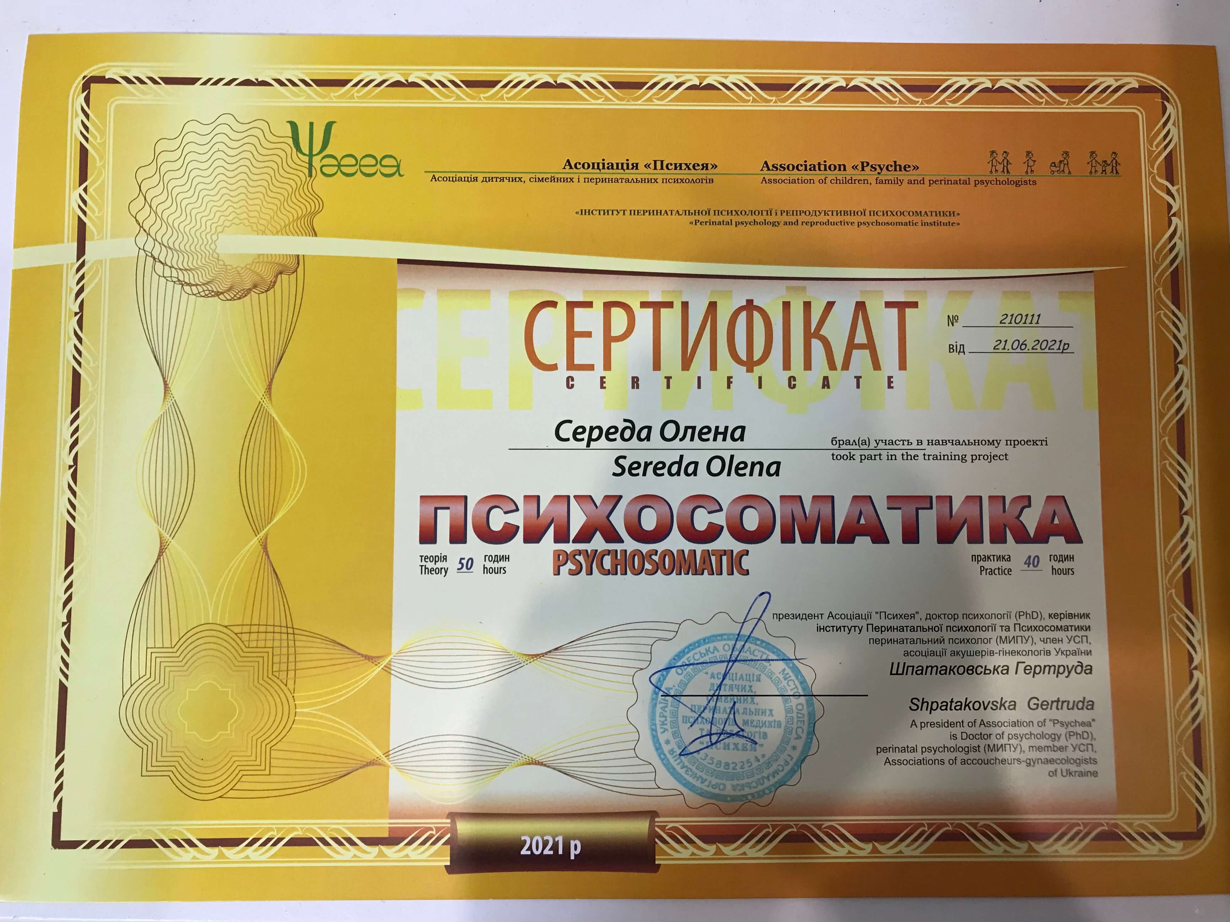 Сертификат 3 Елена Се...