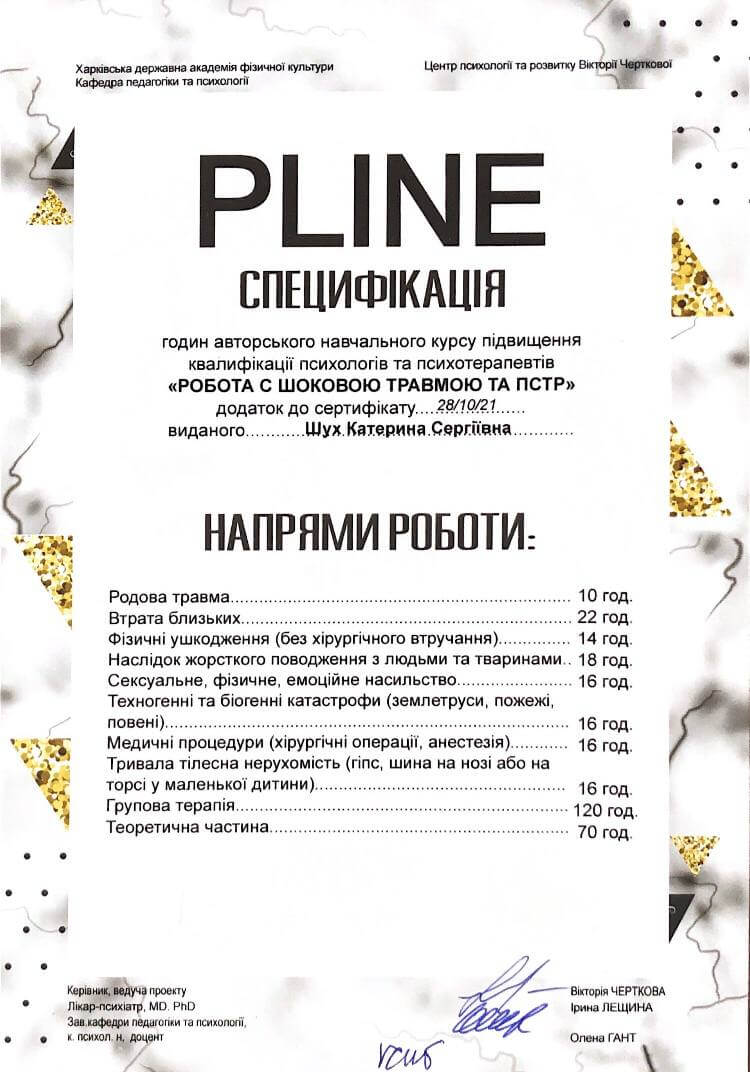 Сертифікат 1 Катерина Шу...