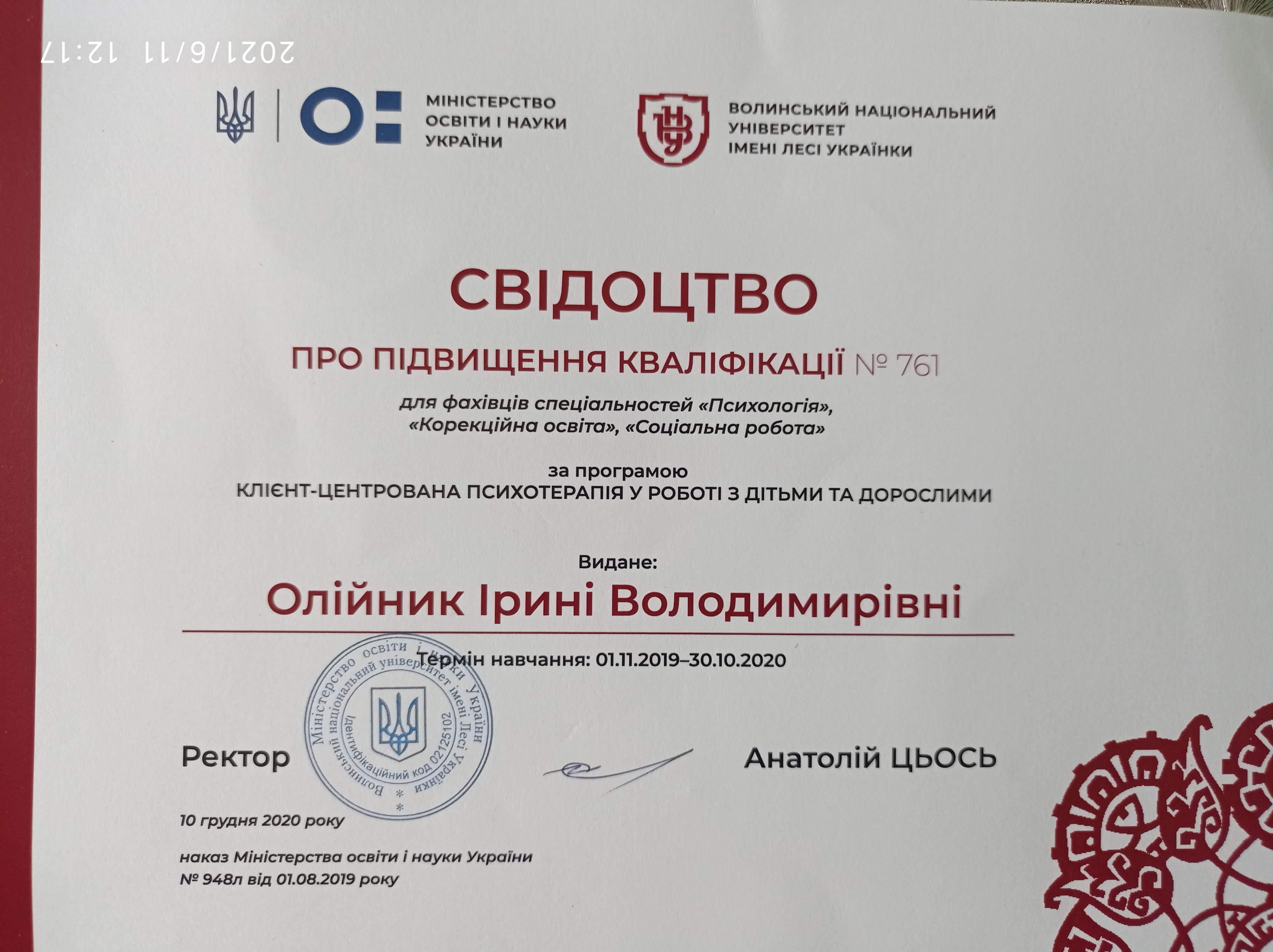 Сертификат 2 Ирина Ир...