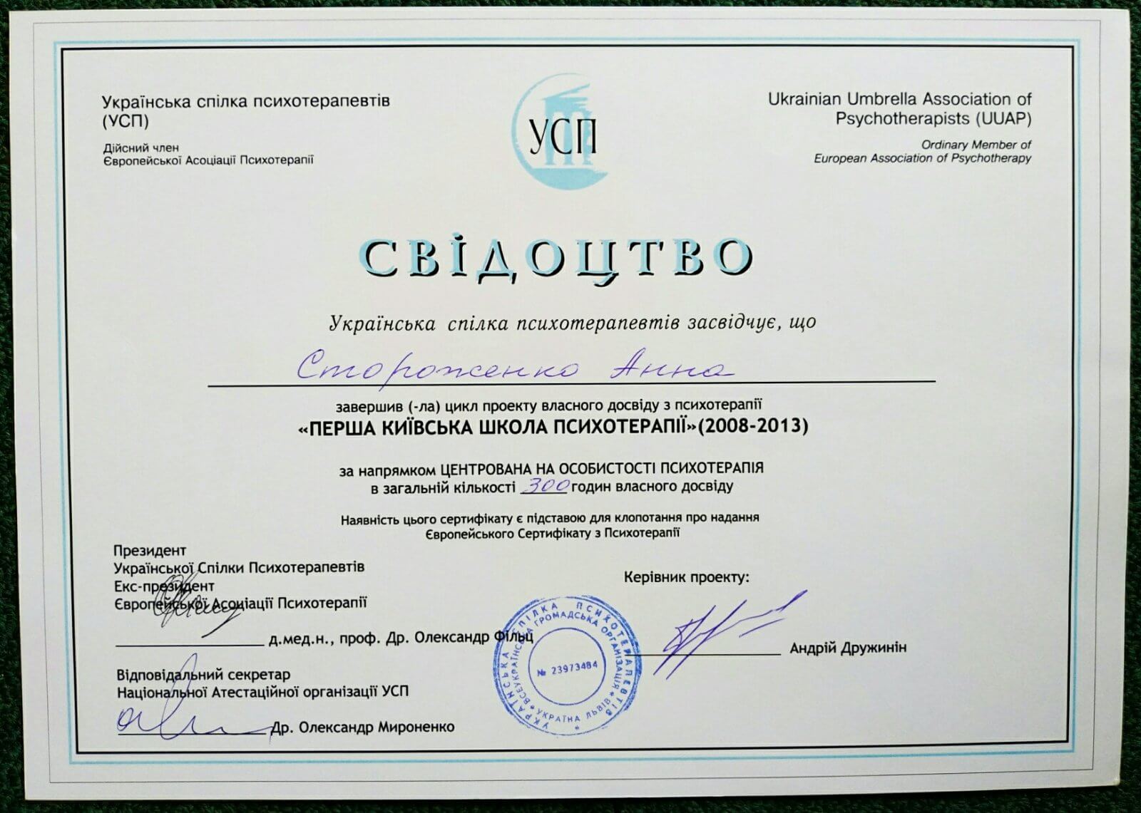 Сертификат 2 Анна Ст...