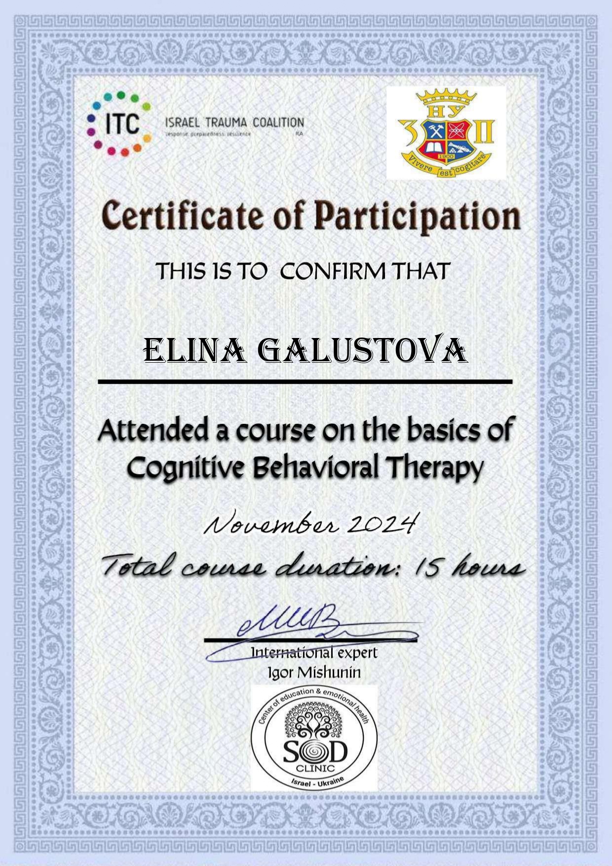 Сертифікат 3 Еліна Га...
