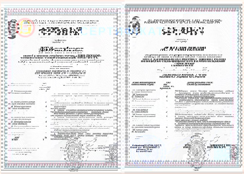 Сертификат 2 Татьяна Дж...