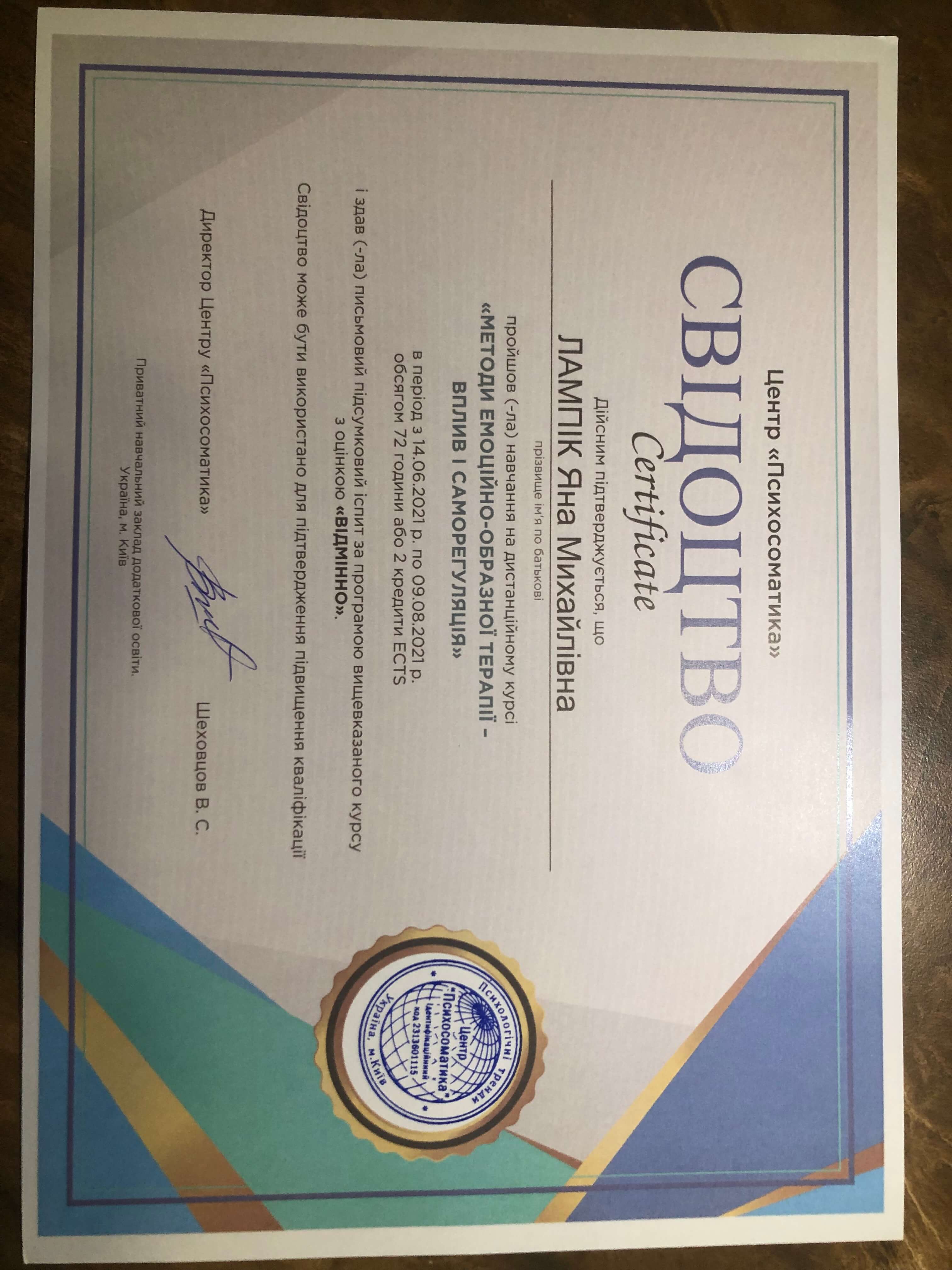 Сертификат 2 Яна  Ла...