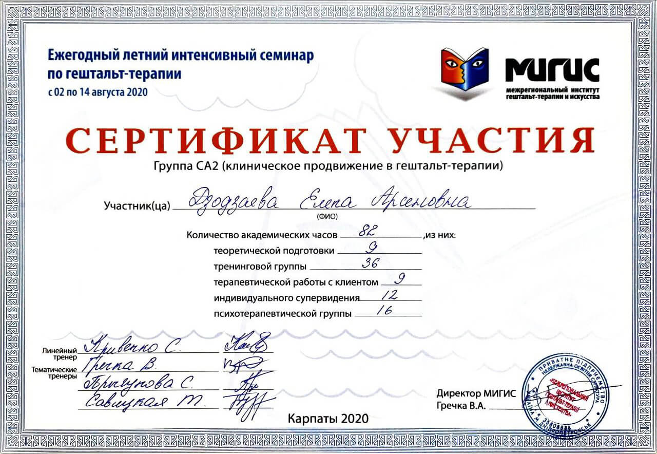 Сертификат 5 Елена Дз...