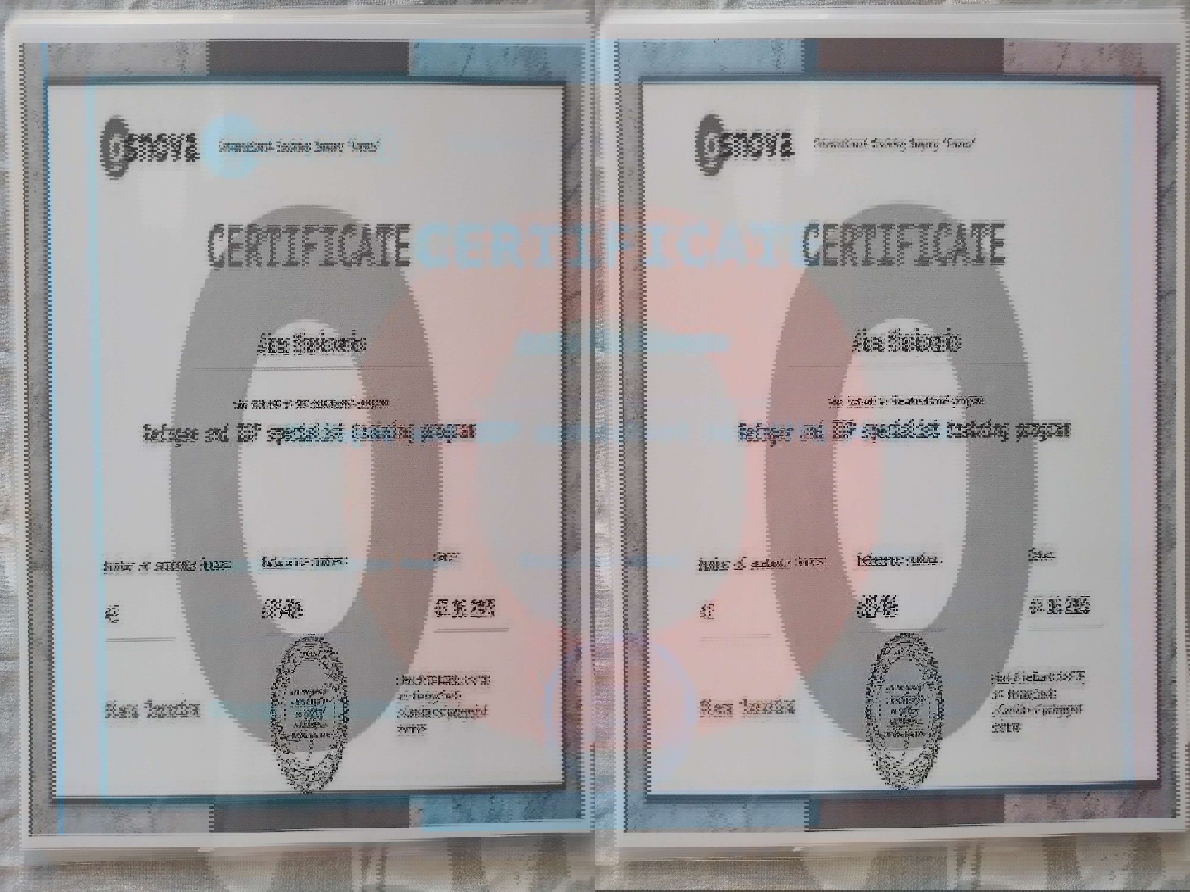 Сертифікат 3 Альона Ка...