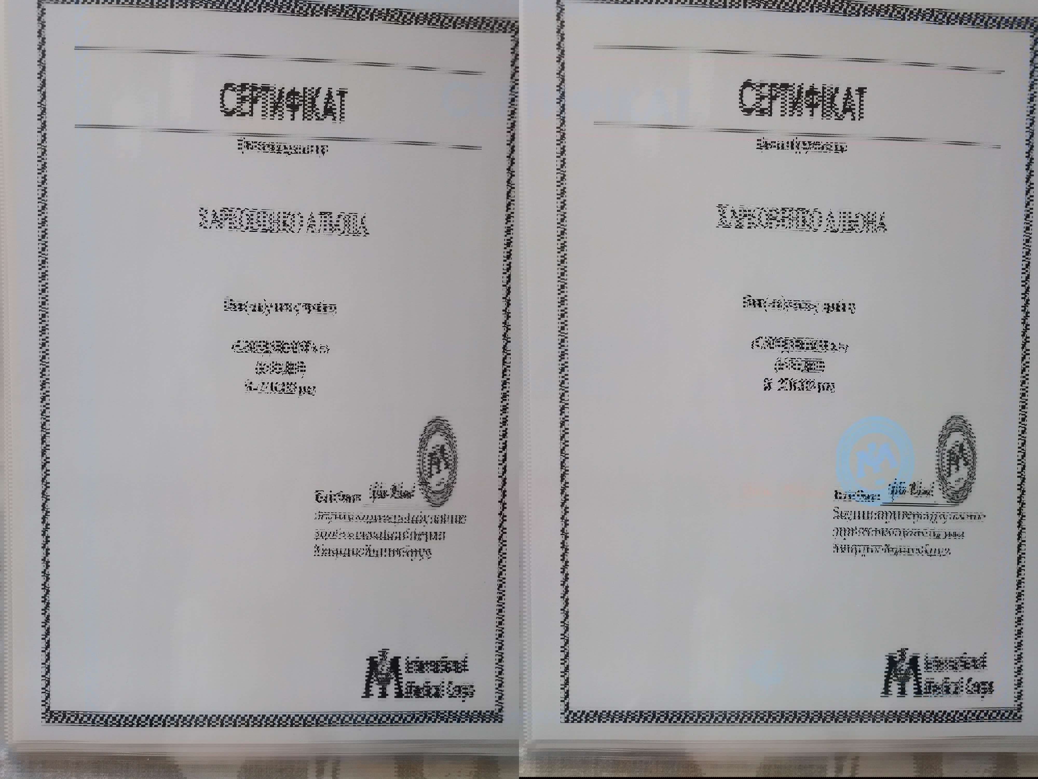 Сертифікат 5 Альона Ка...