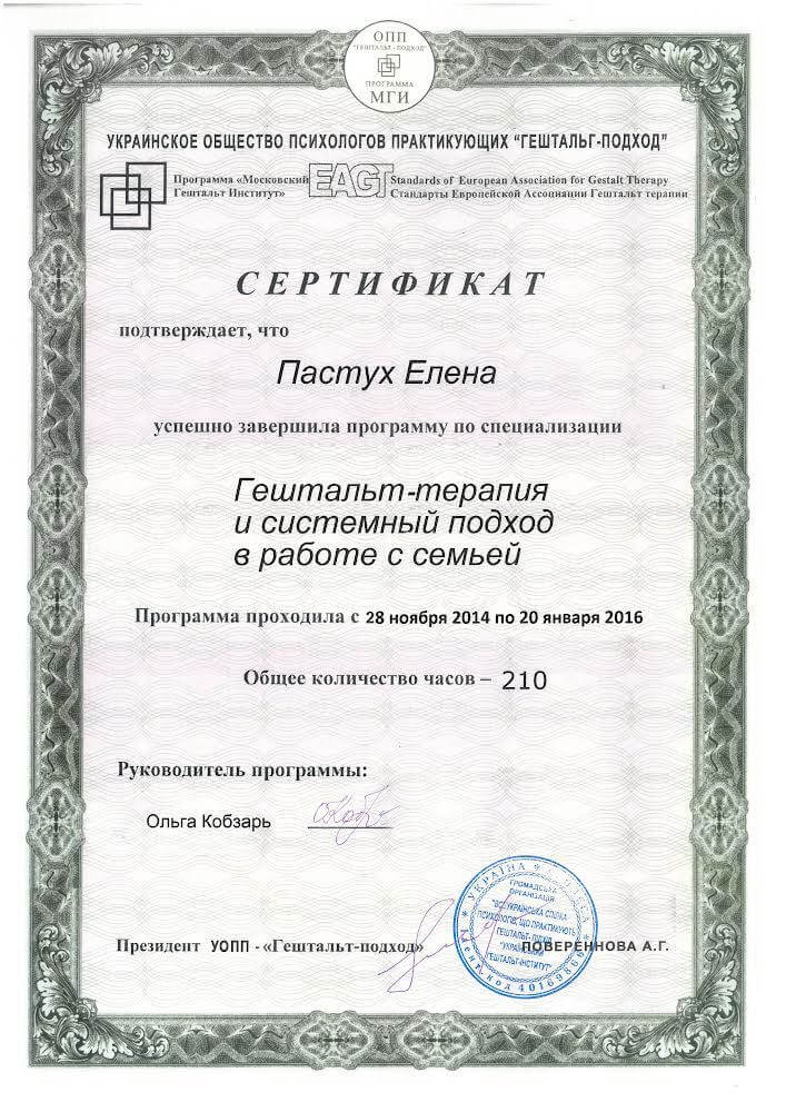 Сертифікат 2 Олена Па...