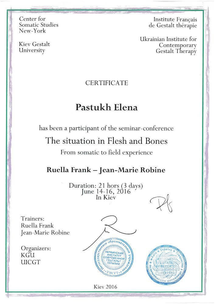 Сертифікат 5 Олена Па...