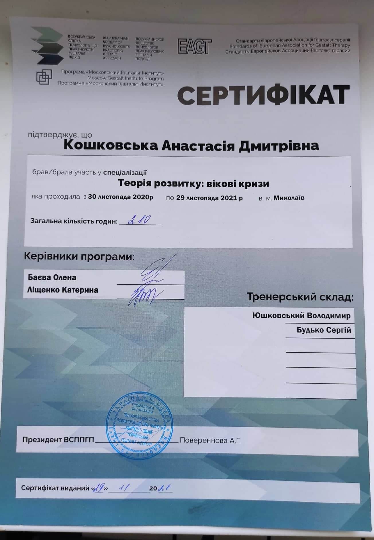 Сертифікат 2 Анастасія Ко...