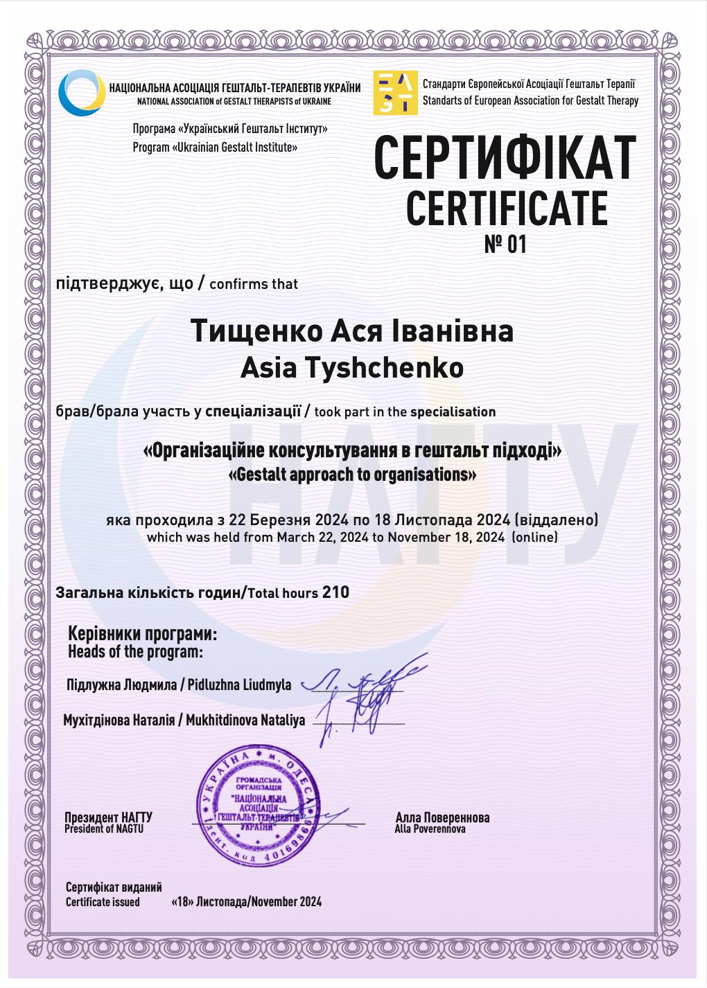 Сертификат 1 Ася Ти...