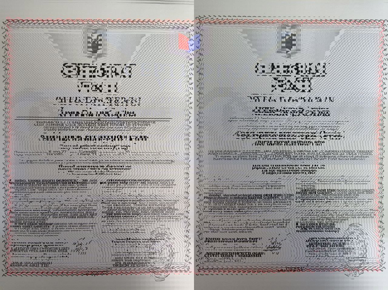 Сертифікат 2 Вікторія Ки...